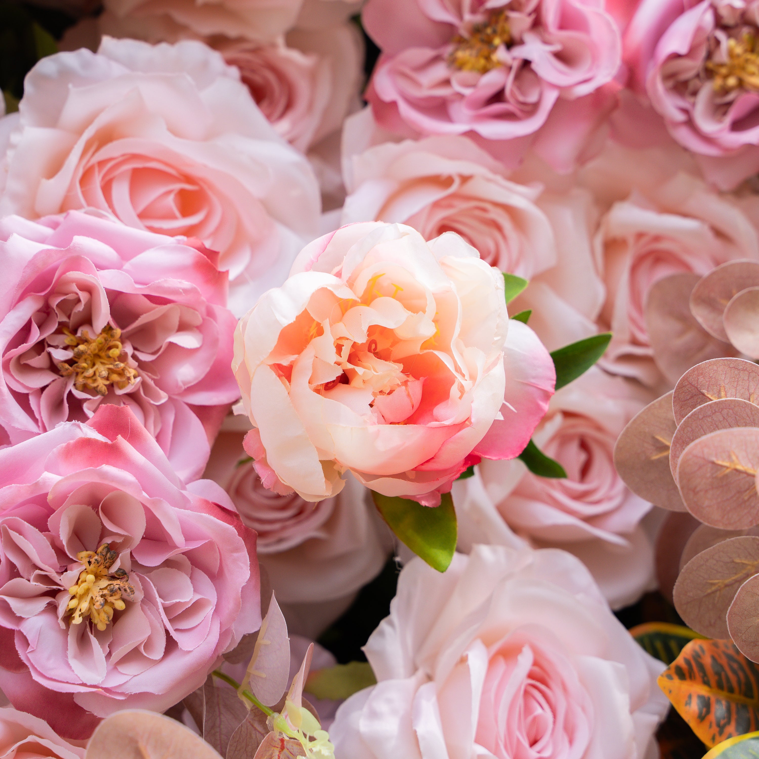 Daniela ：5D Fabric Artificial rolling up curtain flower wall
