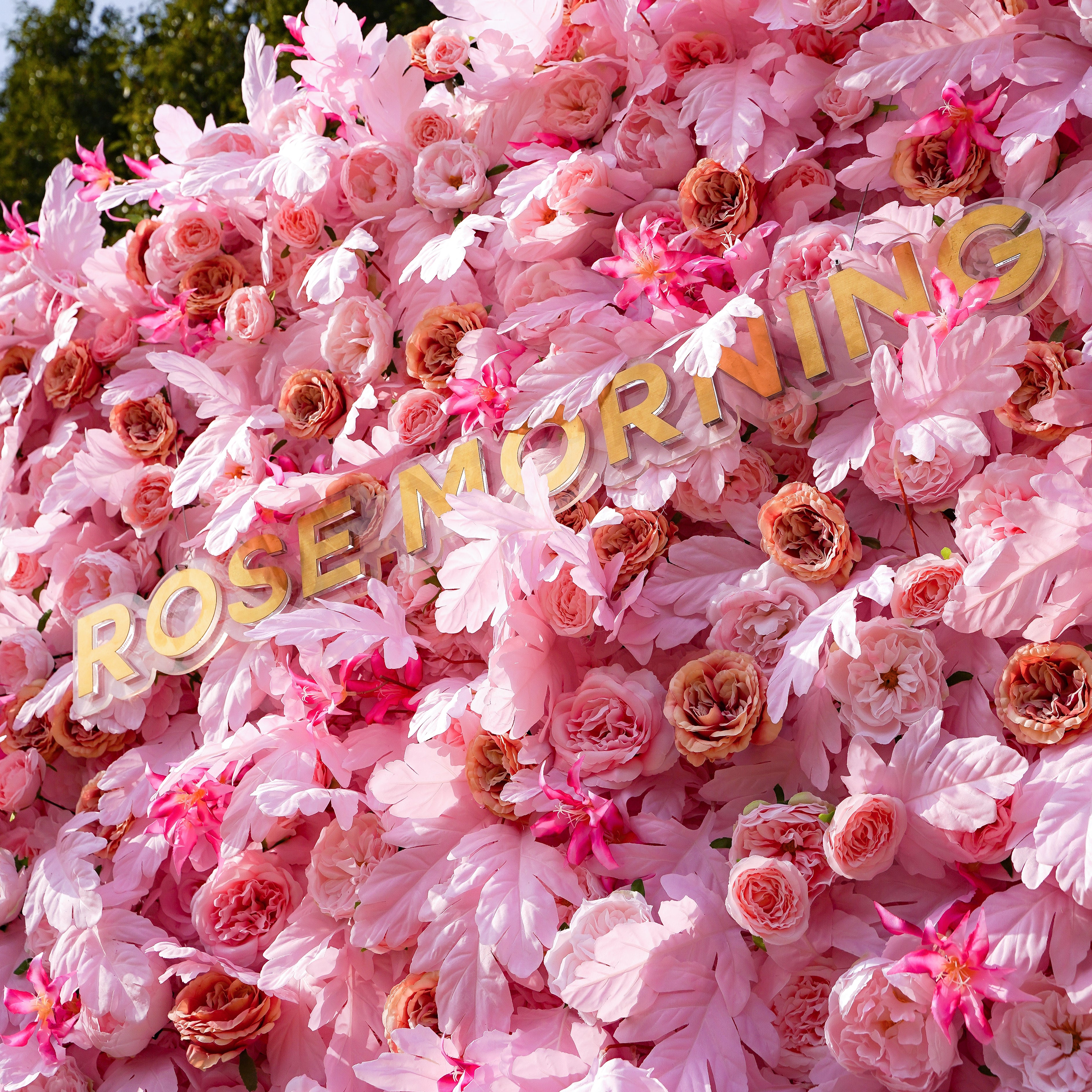 Delia：5D Garden Series Artificial rolling up curtain flower wall Rose Morning