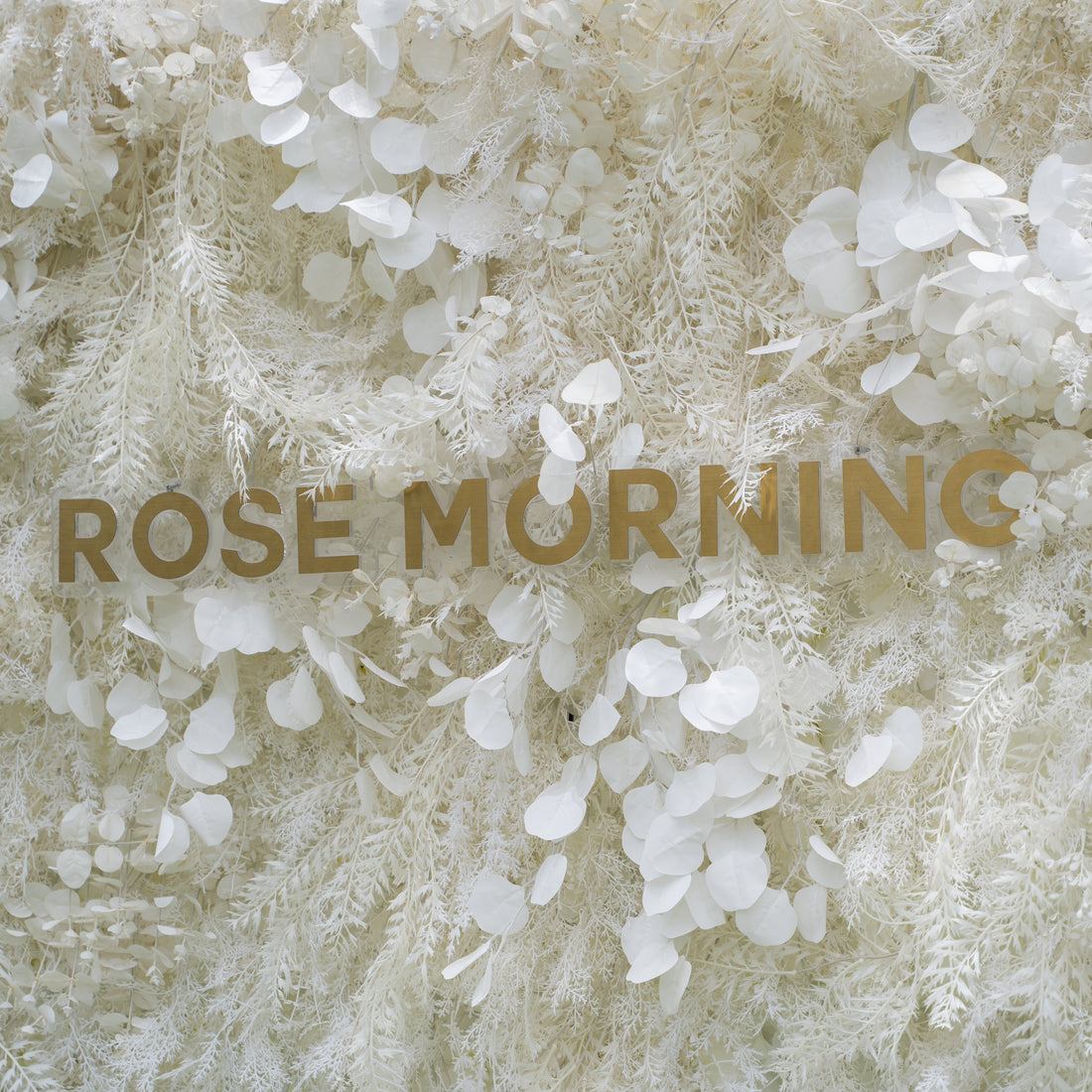 Dream 2025：5D White Fabric Artificial rolling up curtain flower wall