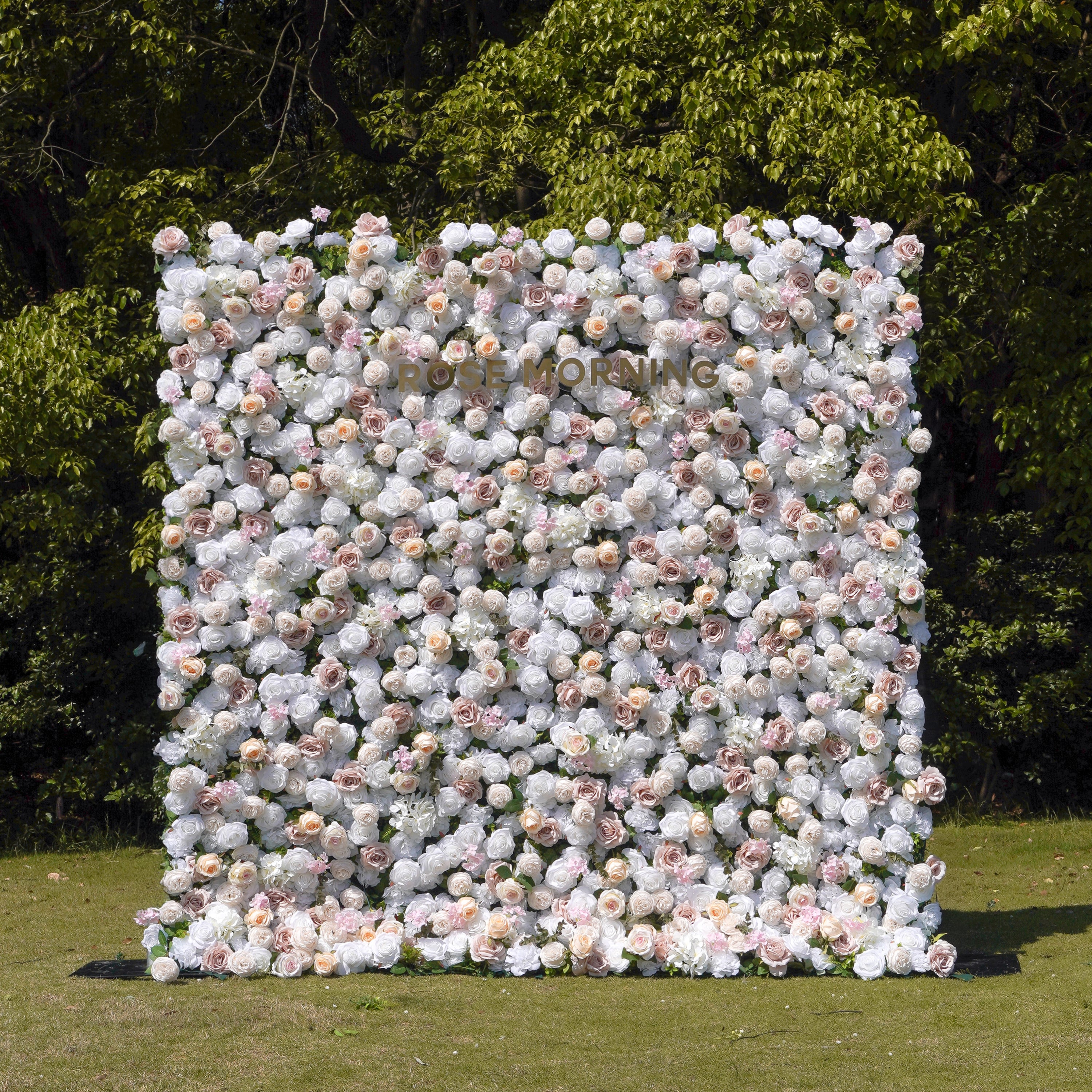 Elain：5D Fabric Artificial rolling up curtain flower wall Rose Morning