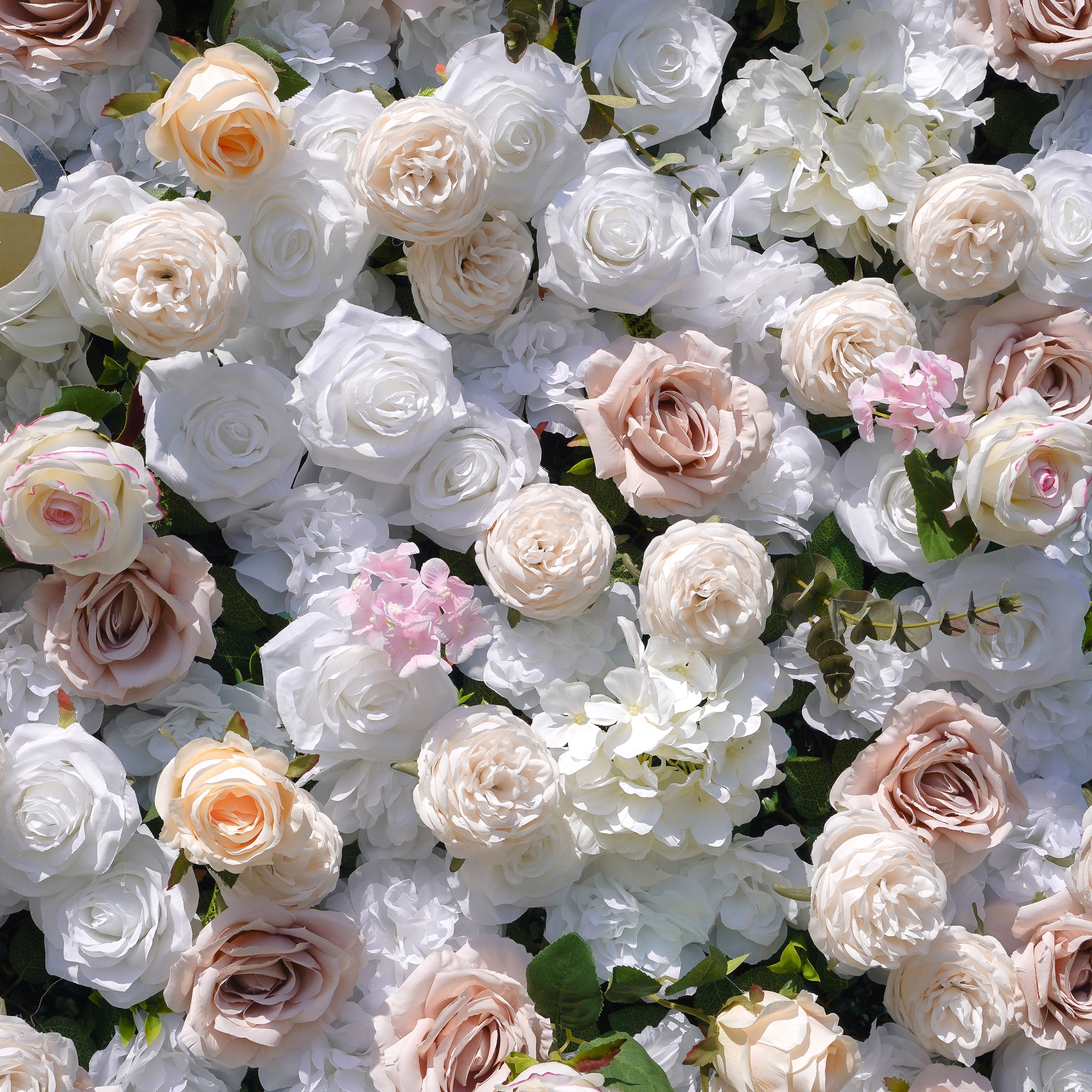 Elain：5D Fabric Artificial rolling up curtain flower wall Rose Morning