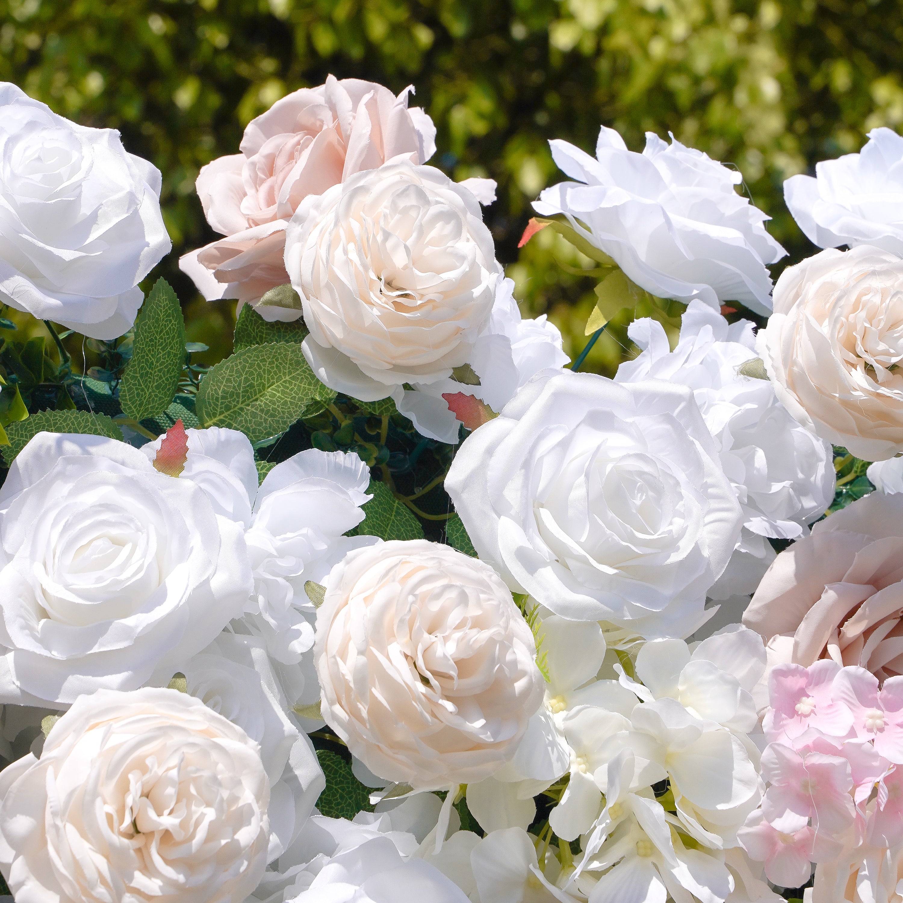 Elain：5D Fabric Artificial rolling up curtain flower wall Rose Morning