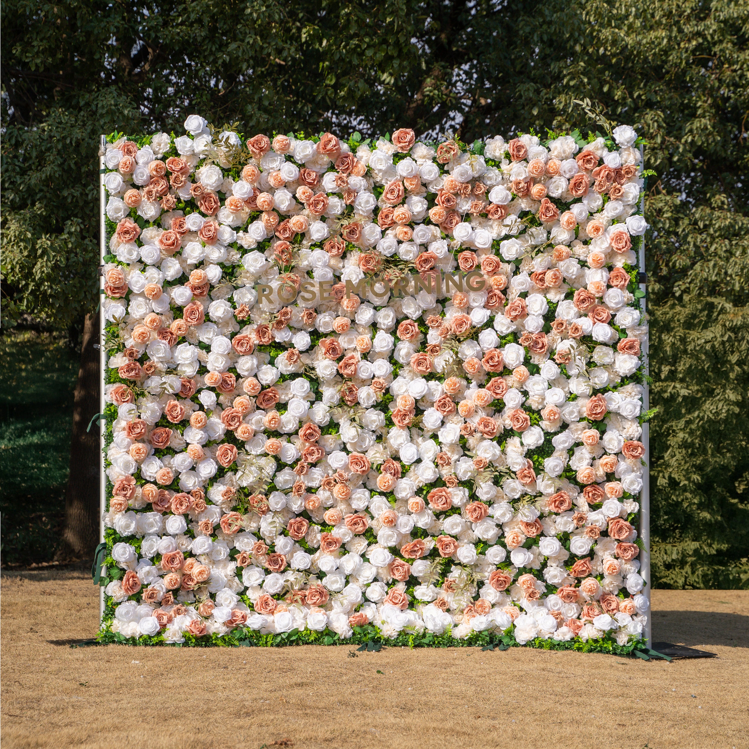 Elara: 3D Champagne &amp; White Silk Rose Roll-Up Curtain Floral Wall Backdrop for Wedding Party &amp; Event Decor(Delivery in 5-7 Days Only USA))