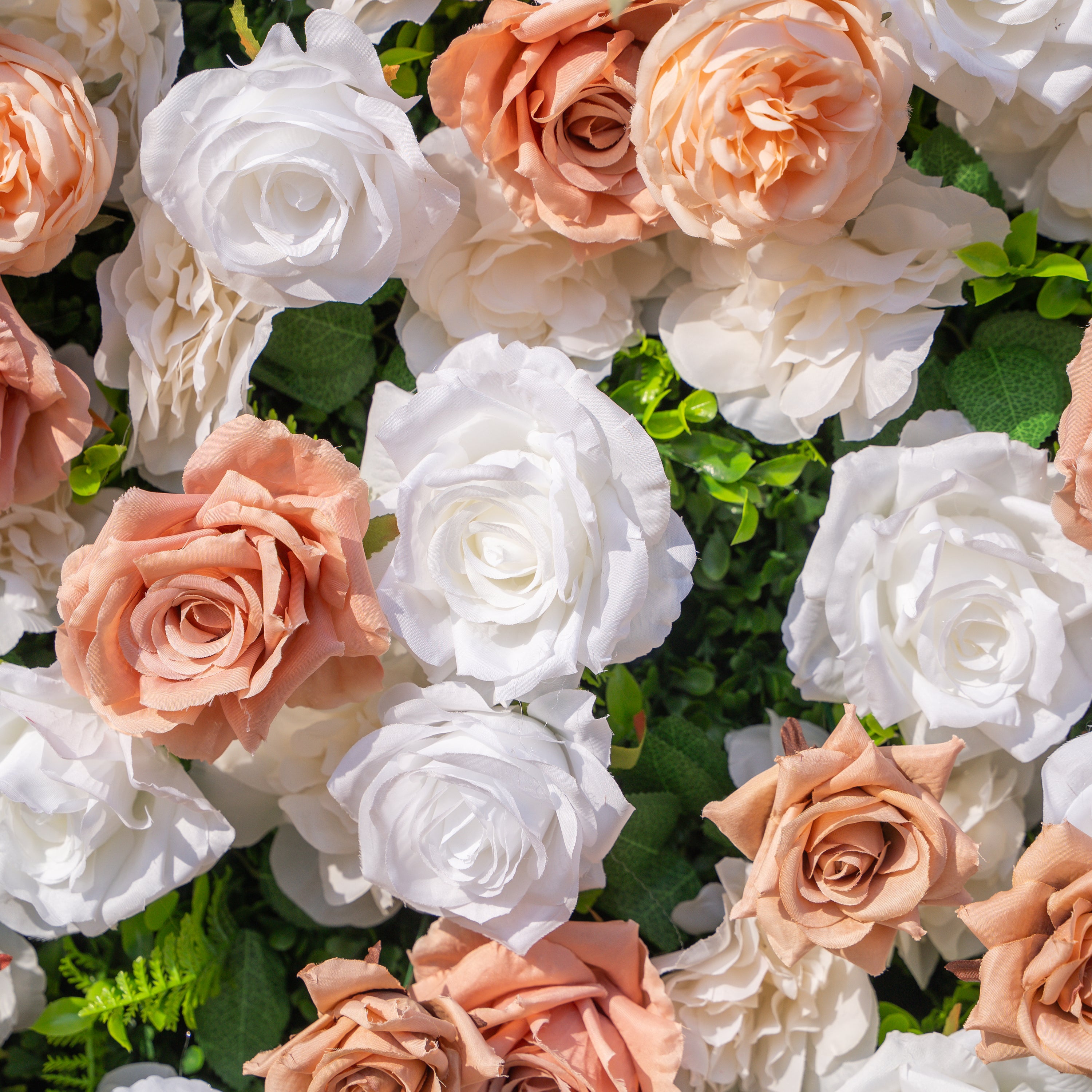 Elara: 3D Champagne &amp; White Silk Rose Roll-Up Curtain Floral Wall Backdrop for Wedding Party &amp; Event Decor(Delivery in 5-7 Days Only USA))