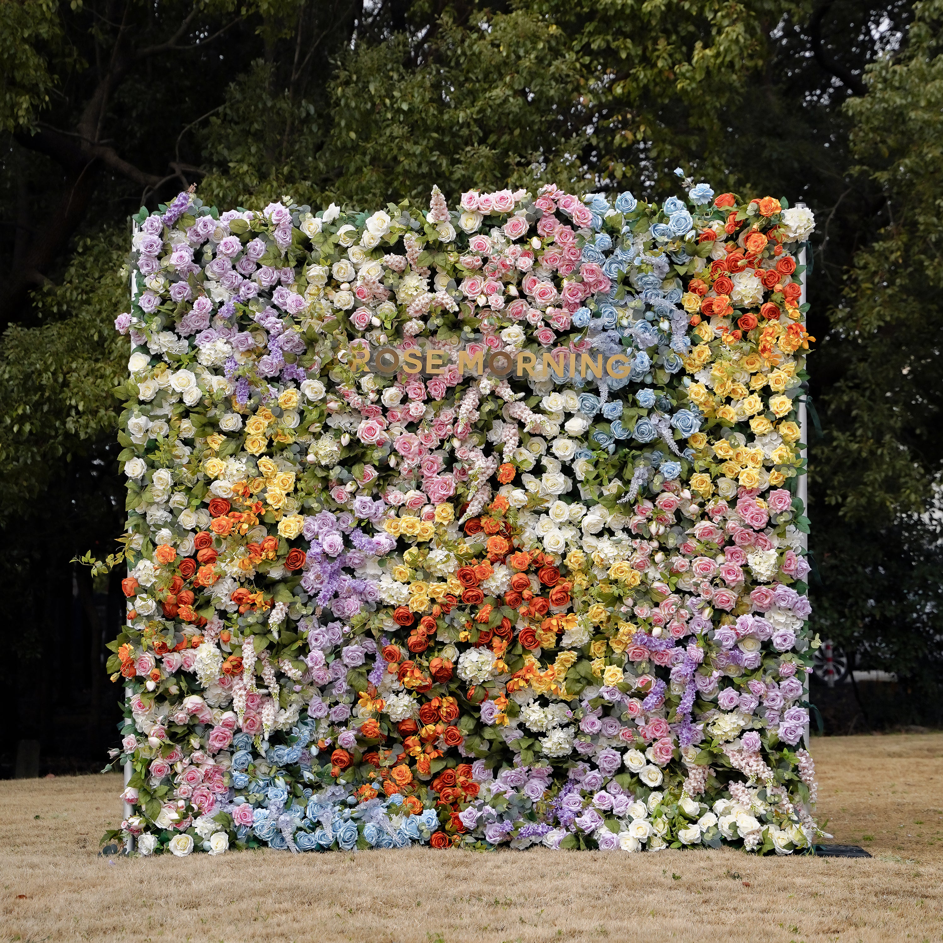 Eileen：5D 2023 New Fabric Artificial rolling up curtain flower wall Rose Morning