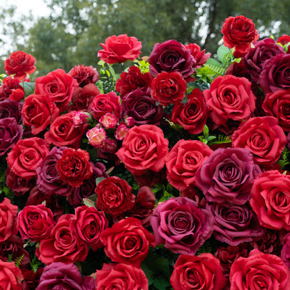 Elysia: 3D Luxury Burgundy Silk Rose Flower Wall Roll-Up Fabric Backdrop for Romantic Weddings &amp; Events