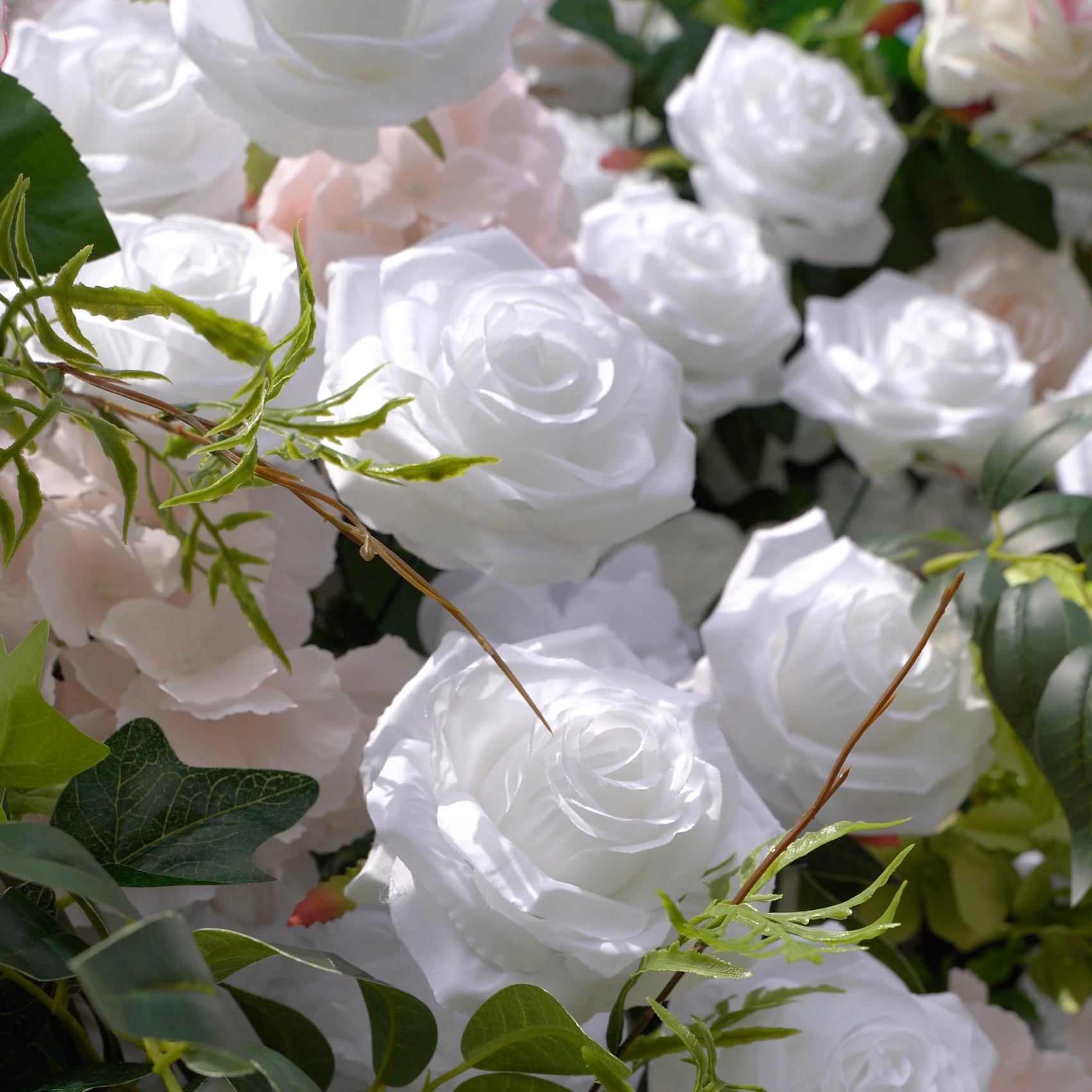 Evie：5D Fabric Artificial rolling up curtain flower wall Rose Morning