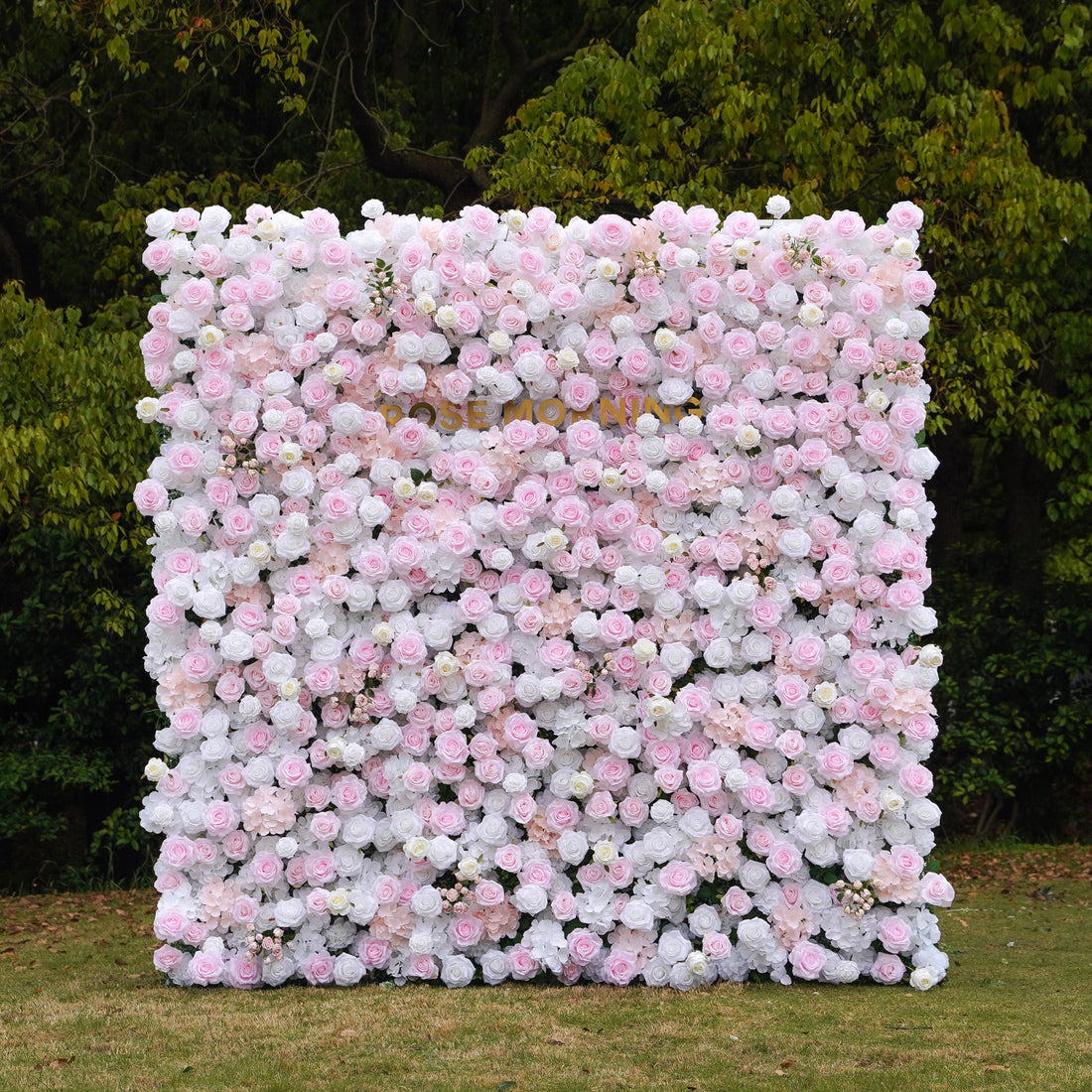 Felicia：5D Fabric Artificial rolling up curtain flower wall Rose Morning