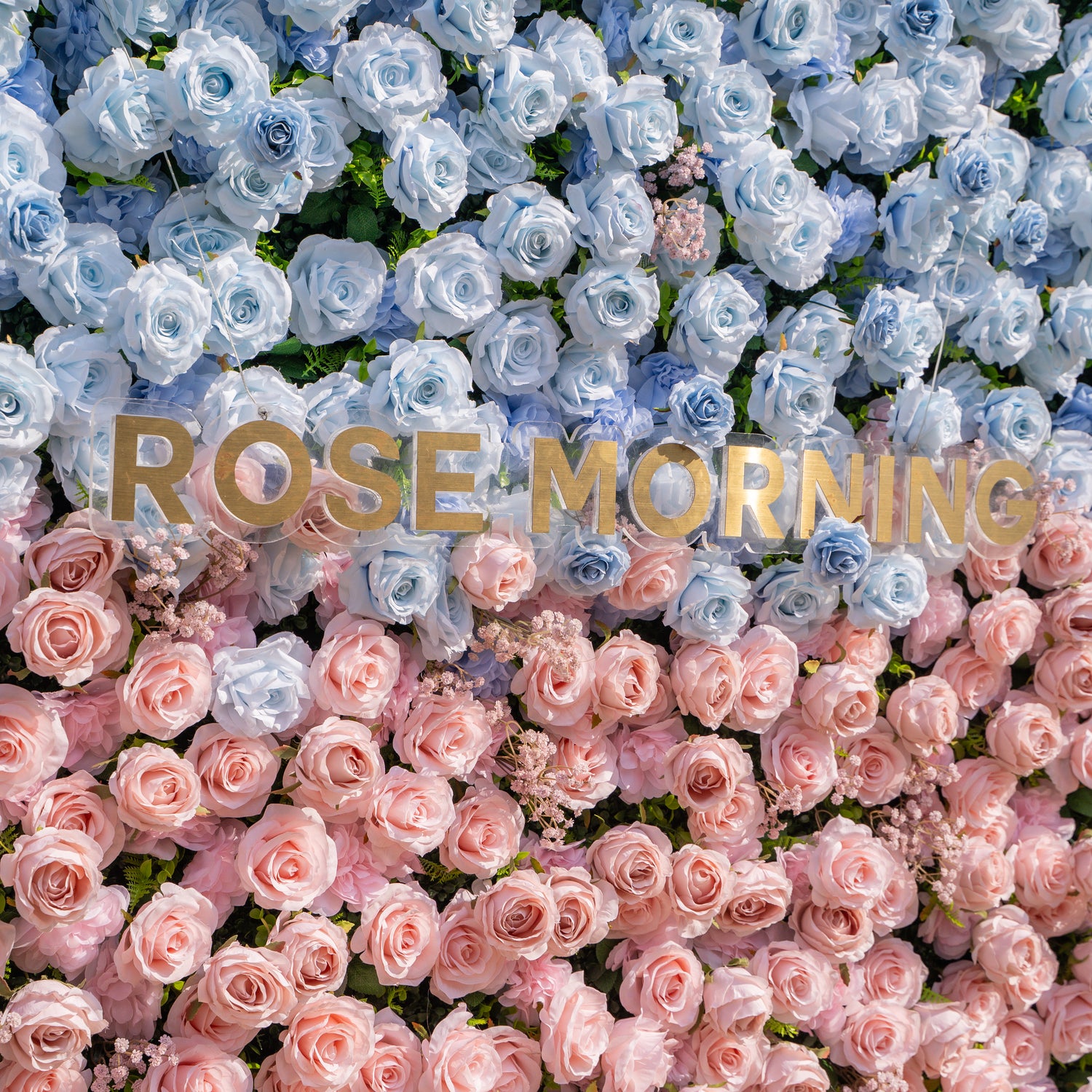 Fiora：3D Dream Pink &amp; Blue Pastel Silk Roll-up Curtain Floral Wall for Gender Reveal &amp; Birthday Events Decor