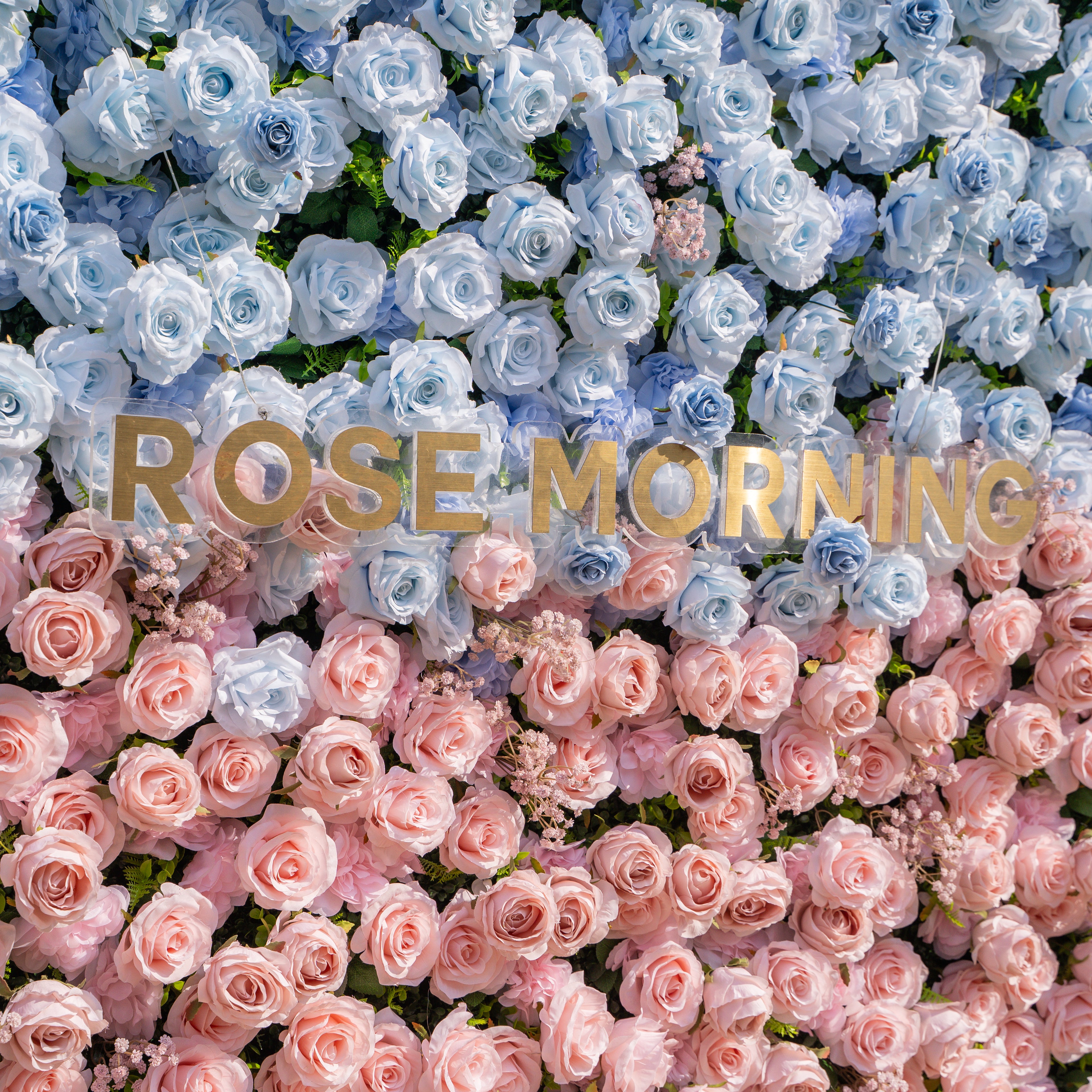 Fiora：3D Dream Pink &amp; Blue Pastel Silk Roll-up Curtain Floral Wall for Gender Reveal &amp; Birthday Events Decor