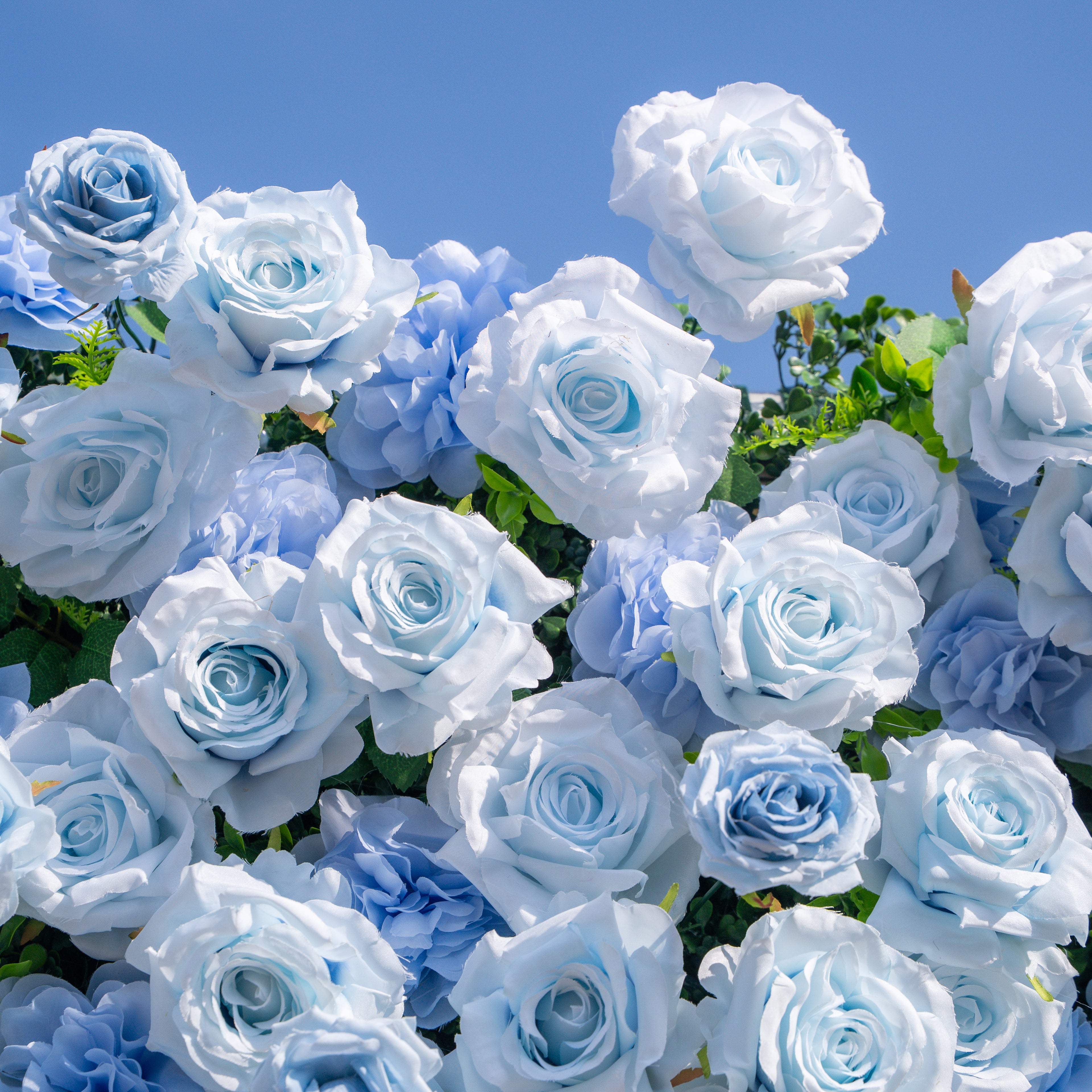 Fiora：3D Dream Pink &amp; Blue Pastel Silk Roll-up Curtain Floral Wall for Gender Reveal &amp; Birthday Events Decor