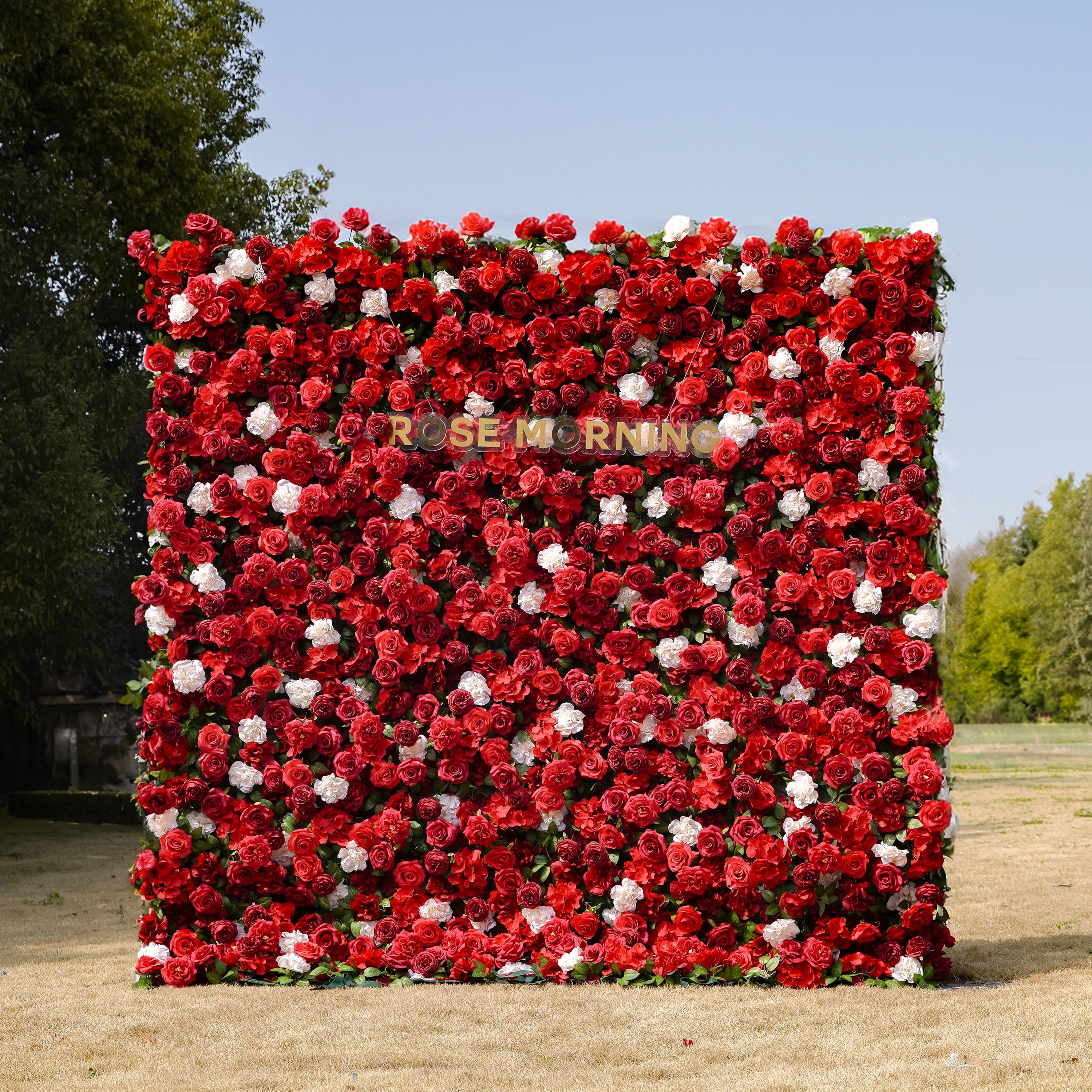 Five： Fabric Artificial zip up curtain flower wall 8ft*8ft Rose Morning