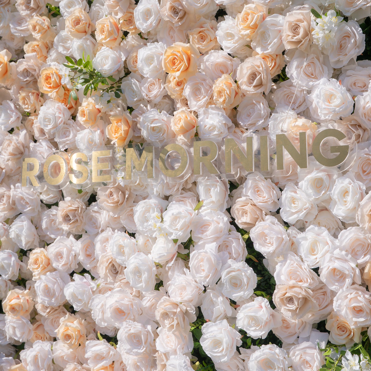 Frangipani：5D Fabric Artificial rolling up curtain flower wall