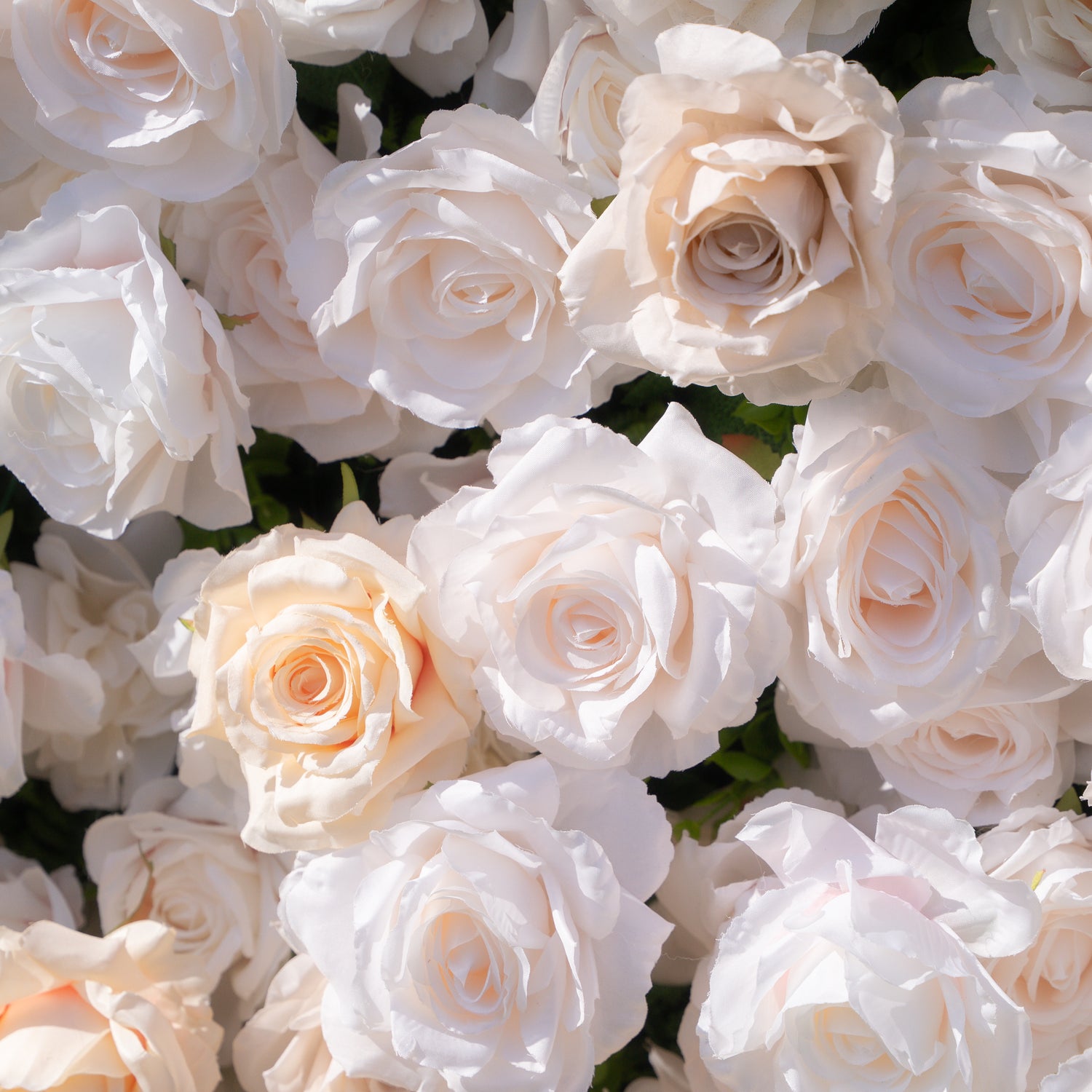 Frangipani：5D Fabric Artificial rolling up curtain flower wall