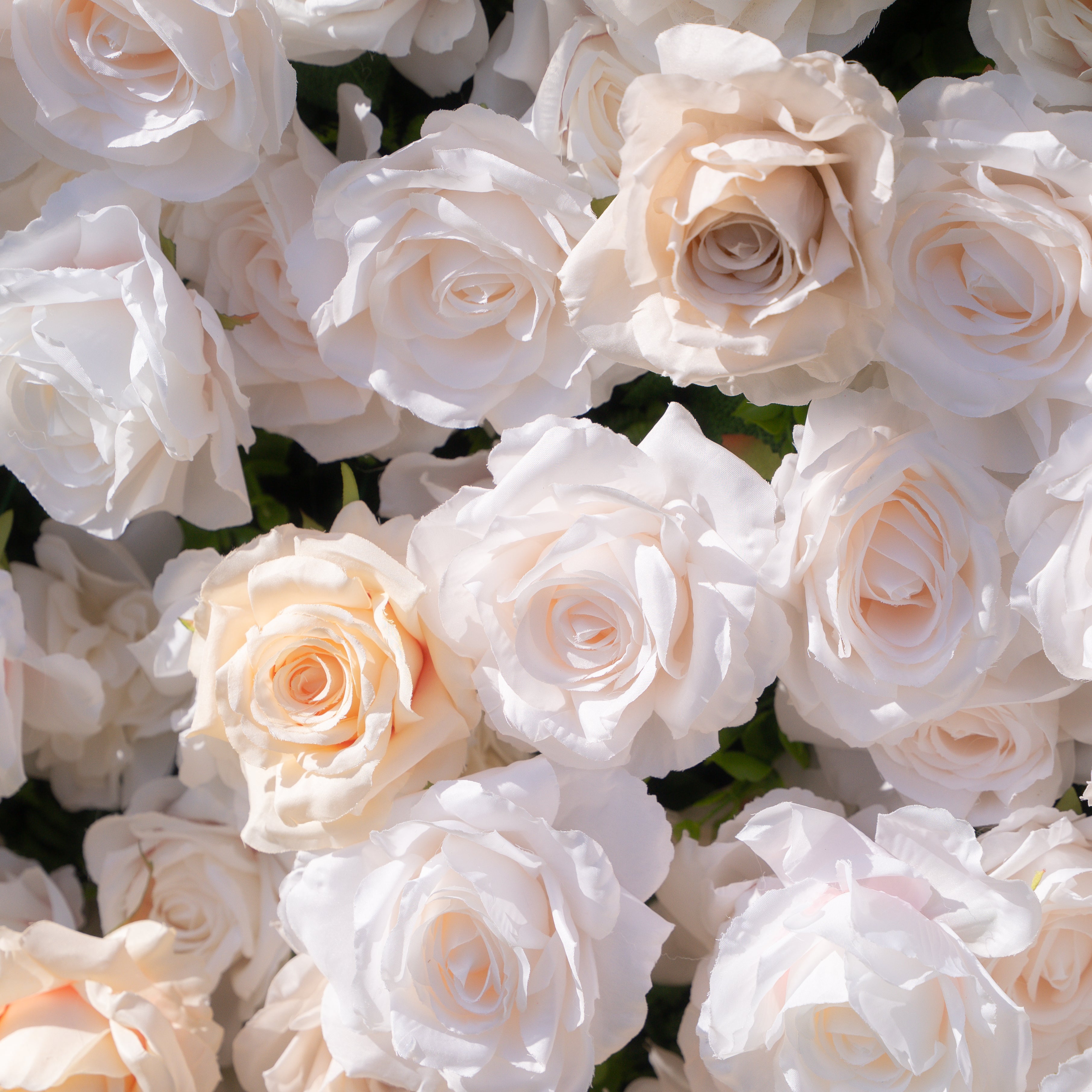 Frangipani：5D Fabric Artificial rolling up curtain flower wall