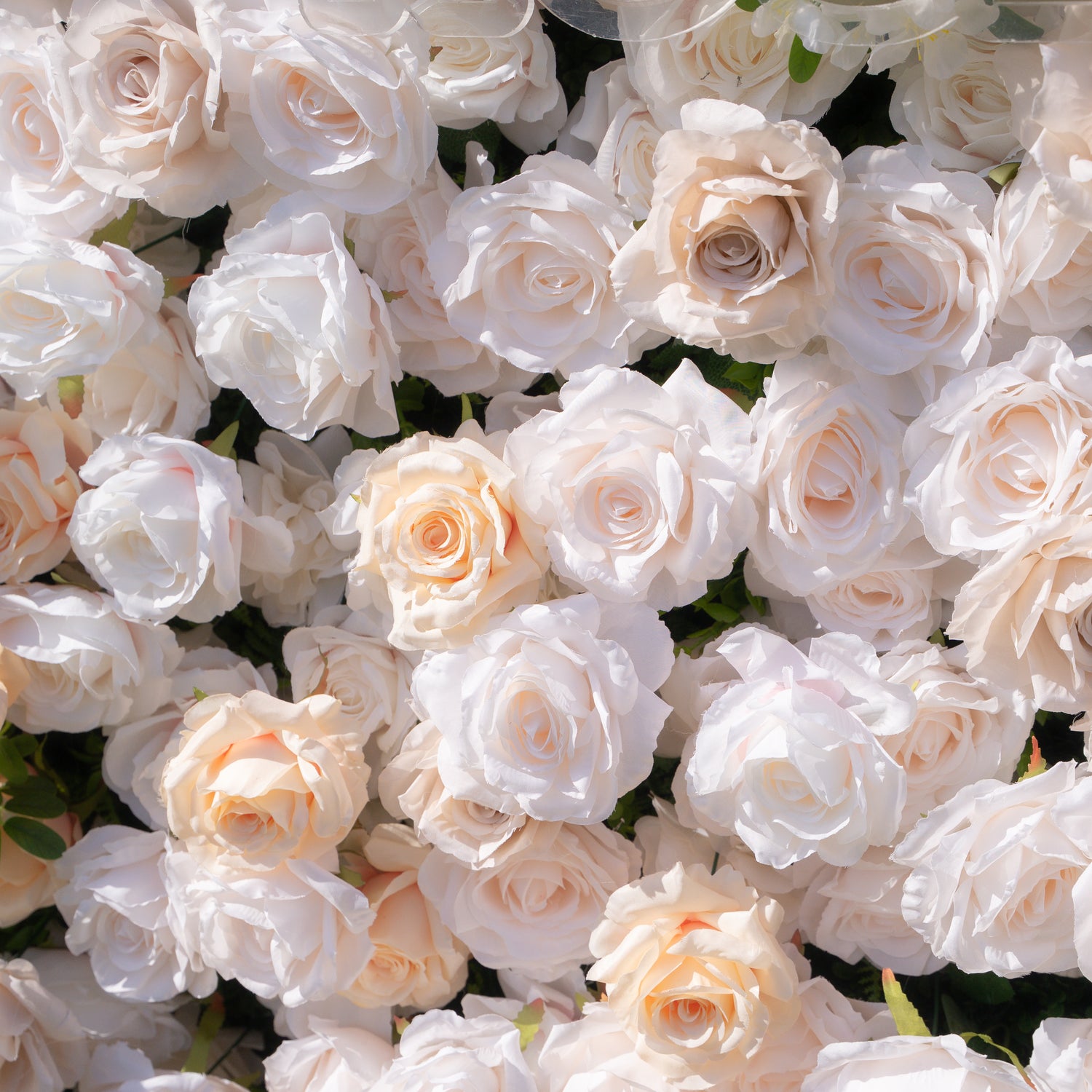 Frangipani：5D Fabric Artificial rolling up curtain flower wall