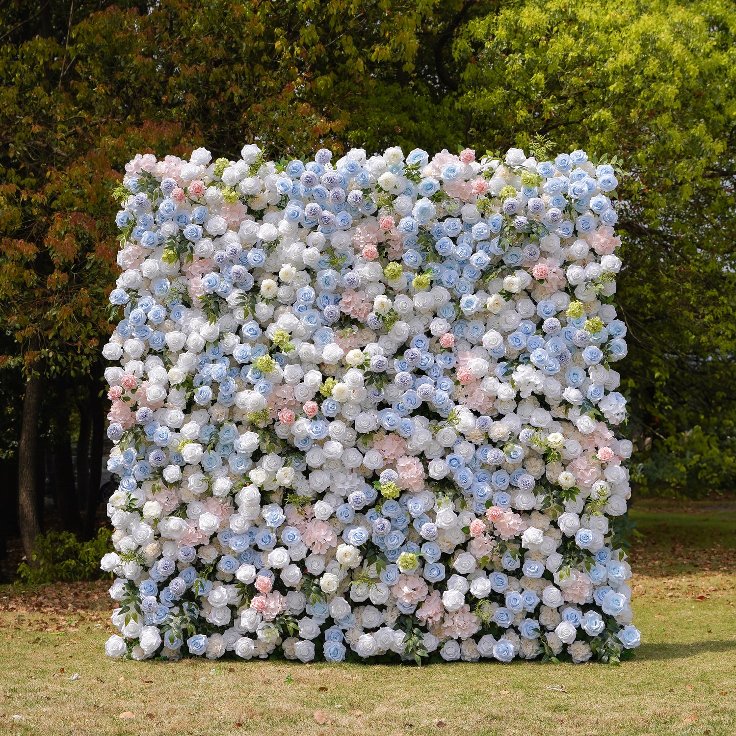 Frank：5D Fabric Artificial rolling up curtain flower wall Rose Morning