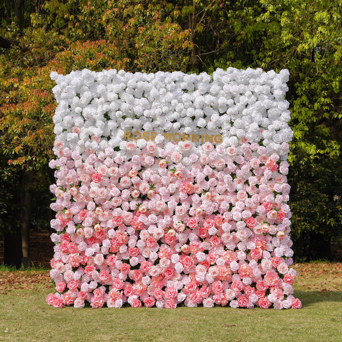 Gelato：5D Fabric Artificial rolling up curtain flower wall Rose Morning