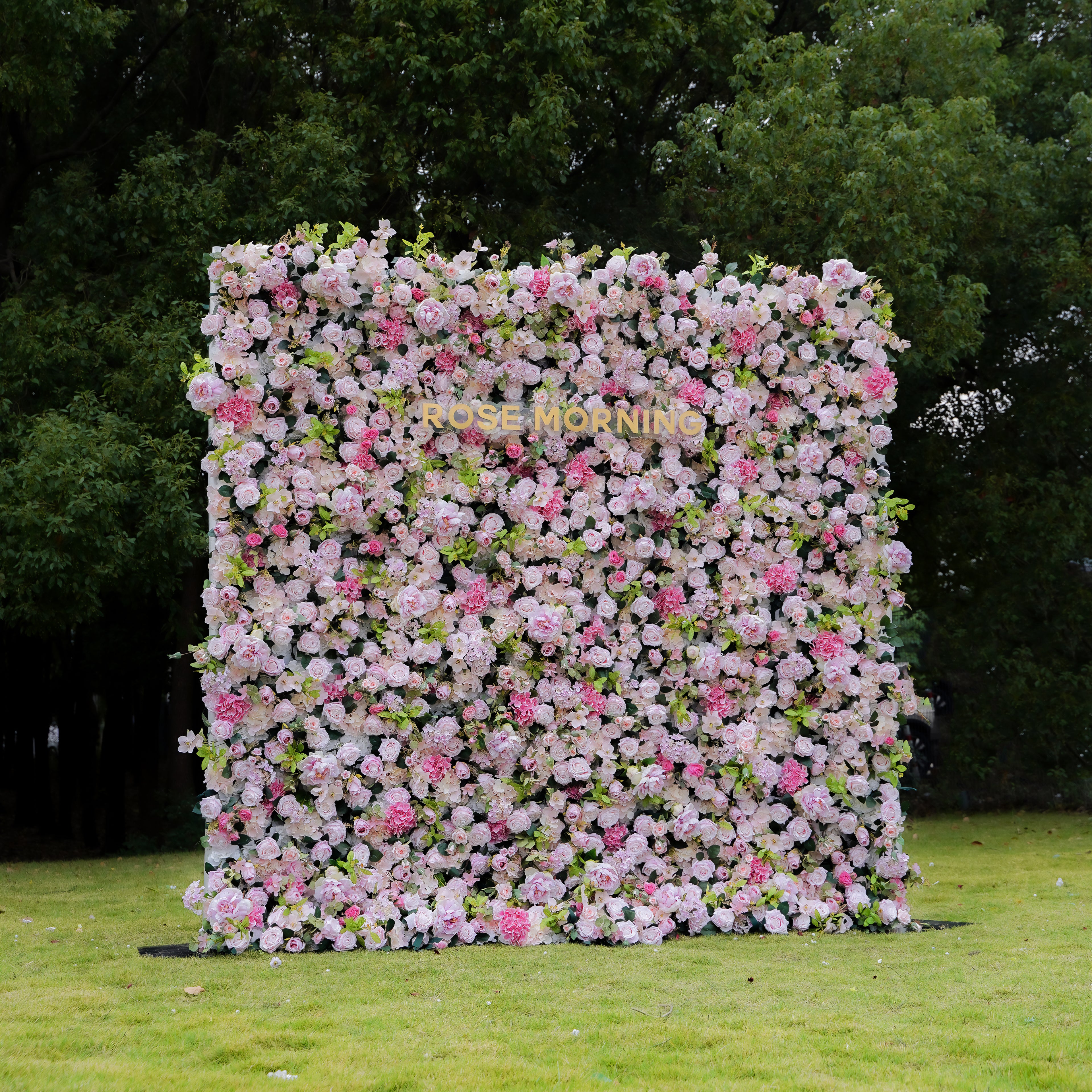 Georgia 5D 2023 New Fabric Artificial rolling up curtain flower wall Rose Morning