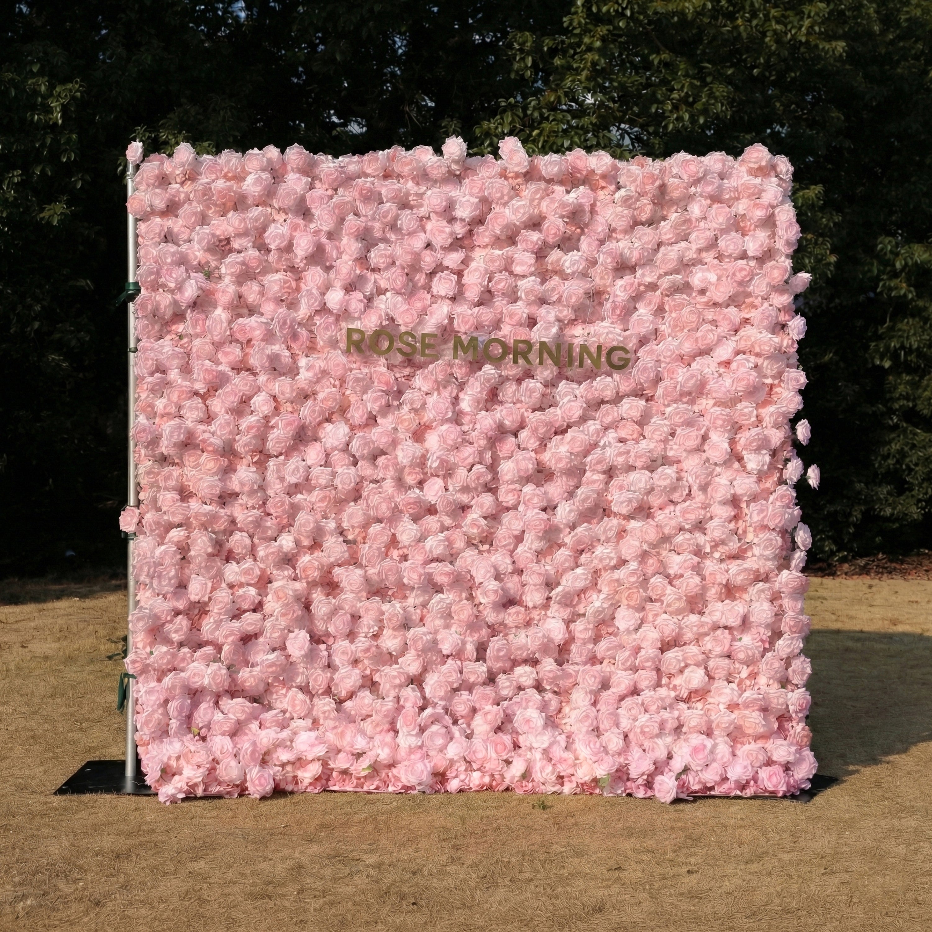 Hadas：2026 New Launch Sun-Activated Color-Changing Rose Flower Wall Backdrop (8×8) — One Wall, Two Looks: White Indoors → Blush Pink in Sunlight
