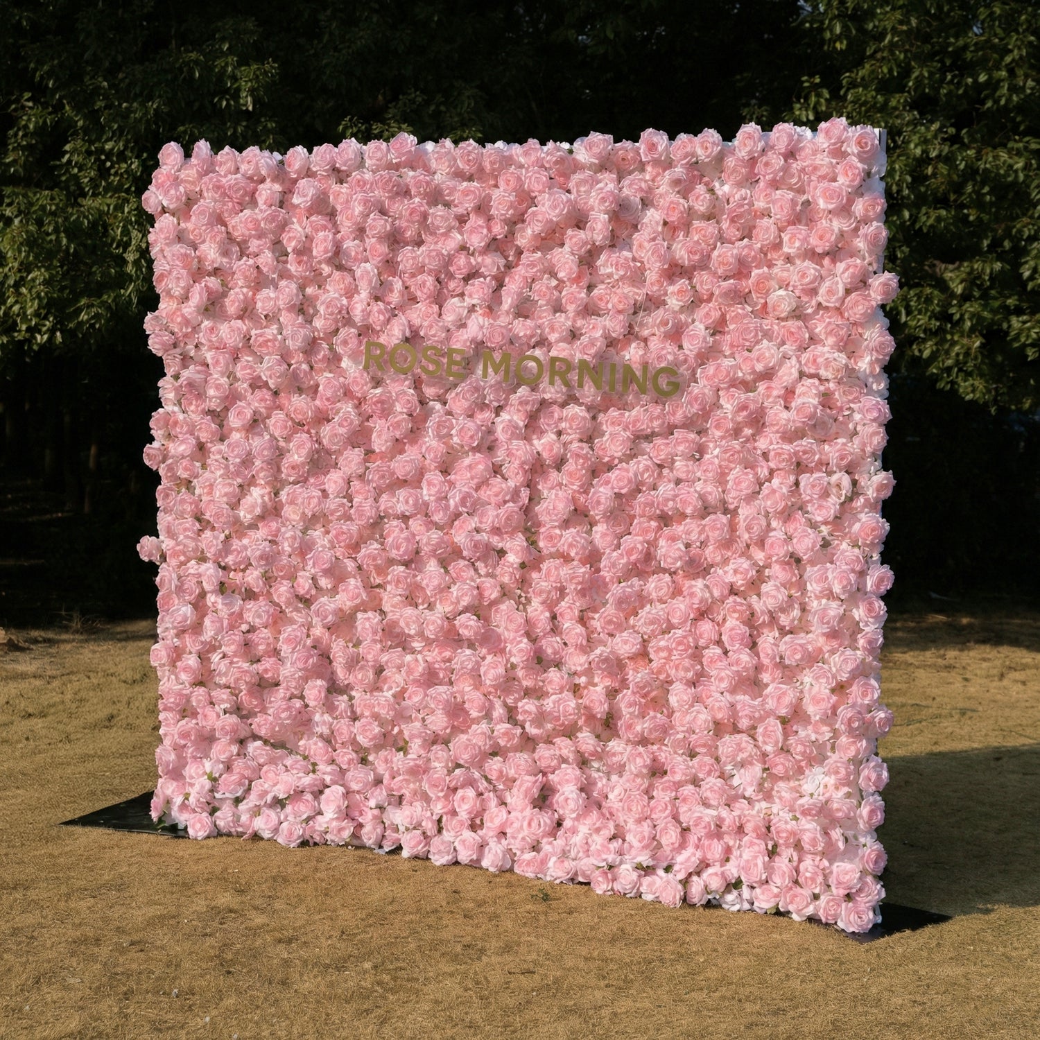 Hadas：2026 New Launch Sun-Activated Color-Changing Rose Flower Wall Backdrop (8×8) — One Wall, Two Looks: White Indoors → Blush Pink in Sunlight