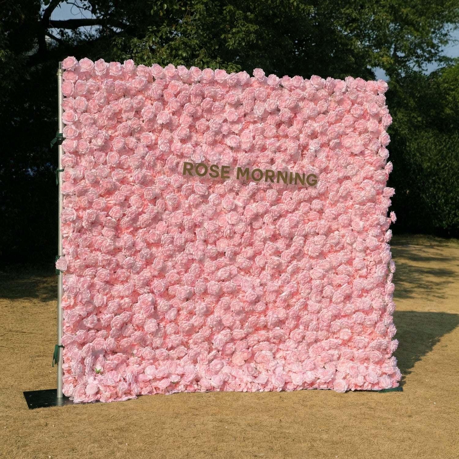 Hadas：2026 New Launch Sun-Activated Color-Changing Rose Flower Wall Backdrop (8×8) — One Wall, Two Looks: White Indoors → Blush Pink in Sunlight