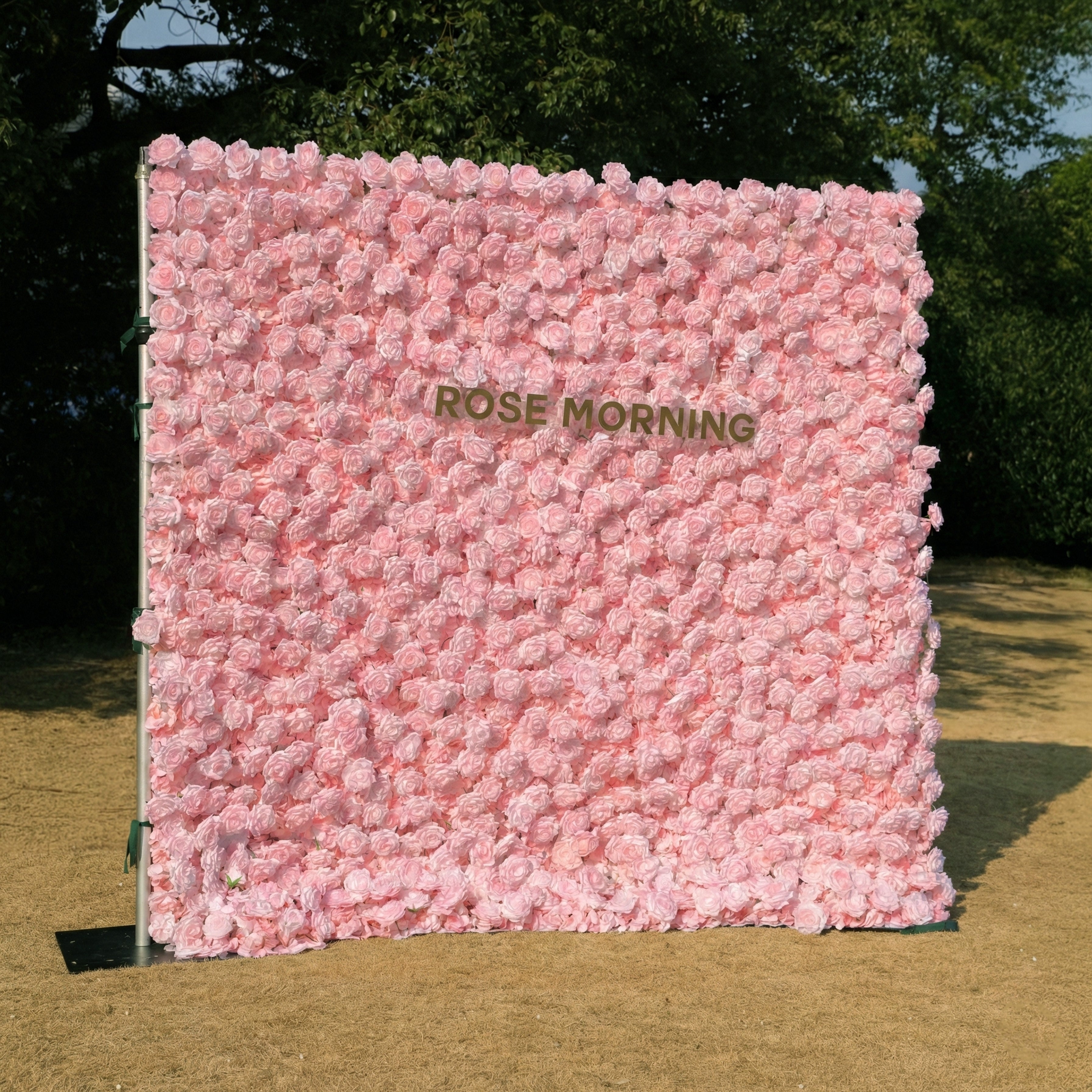 Hadas：2026 New Launch Sun-Activated Color-Changing Rose Flower Wall Backdrop (8×8) — One Wall, Two Looks: White Indoors → Blush Pink in Sunlight