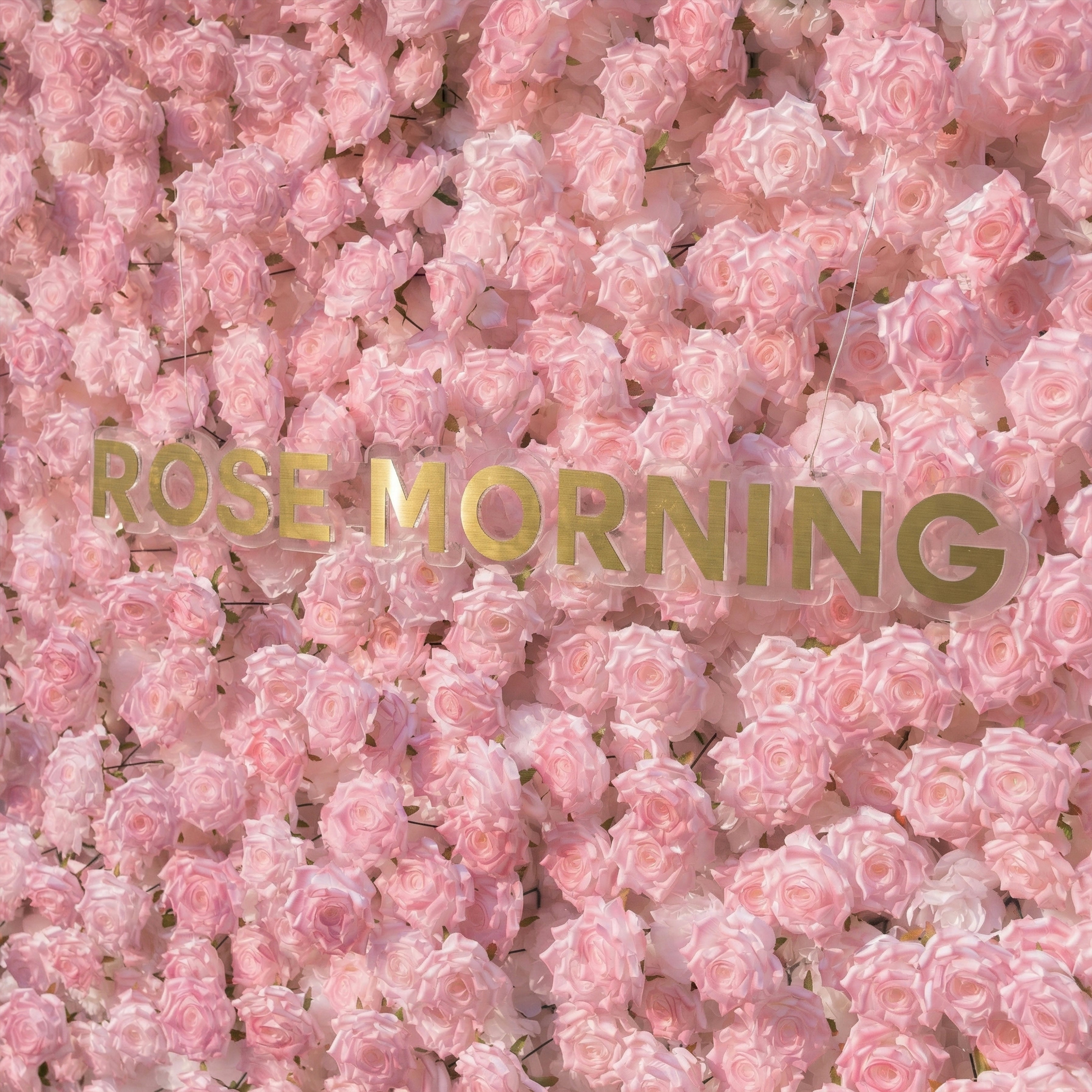 Hadas：2026 New Launch Sun-Activated Color-Changing Rose Flower Wall Backdrop (8×8) — One Wall, Two Looks: White Indoors → Blush Pink in Sunlight