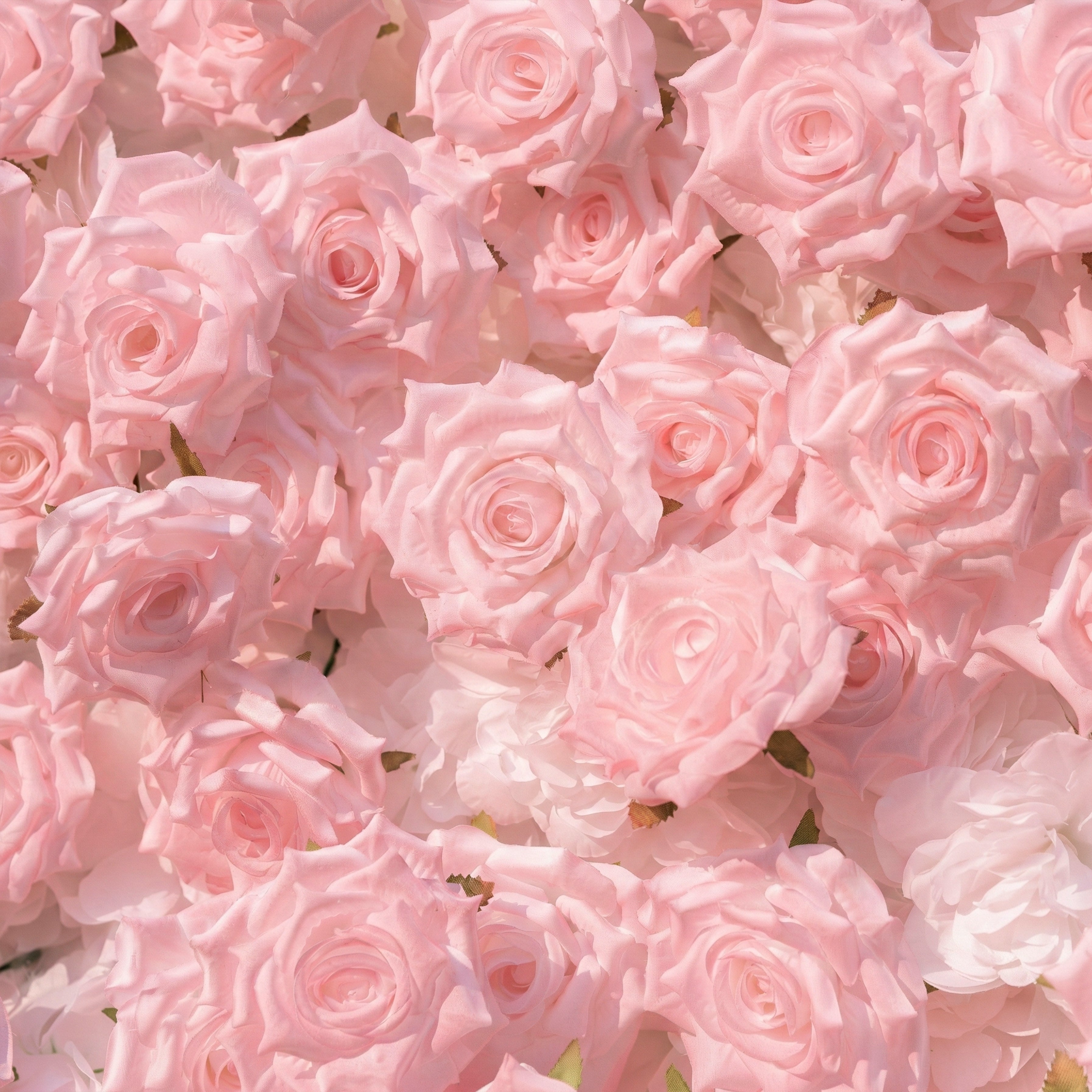 Hadas：2026 New Launch Sun-Activated Color-Changing Rose Flower Wall Backdrop (8×8) — One Wall, Two Looks: White Indoors → Blush Pink in Sunlight