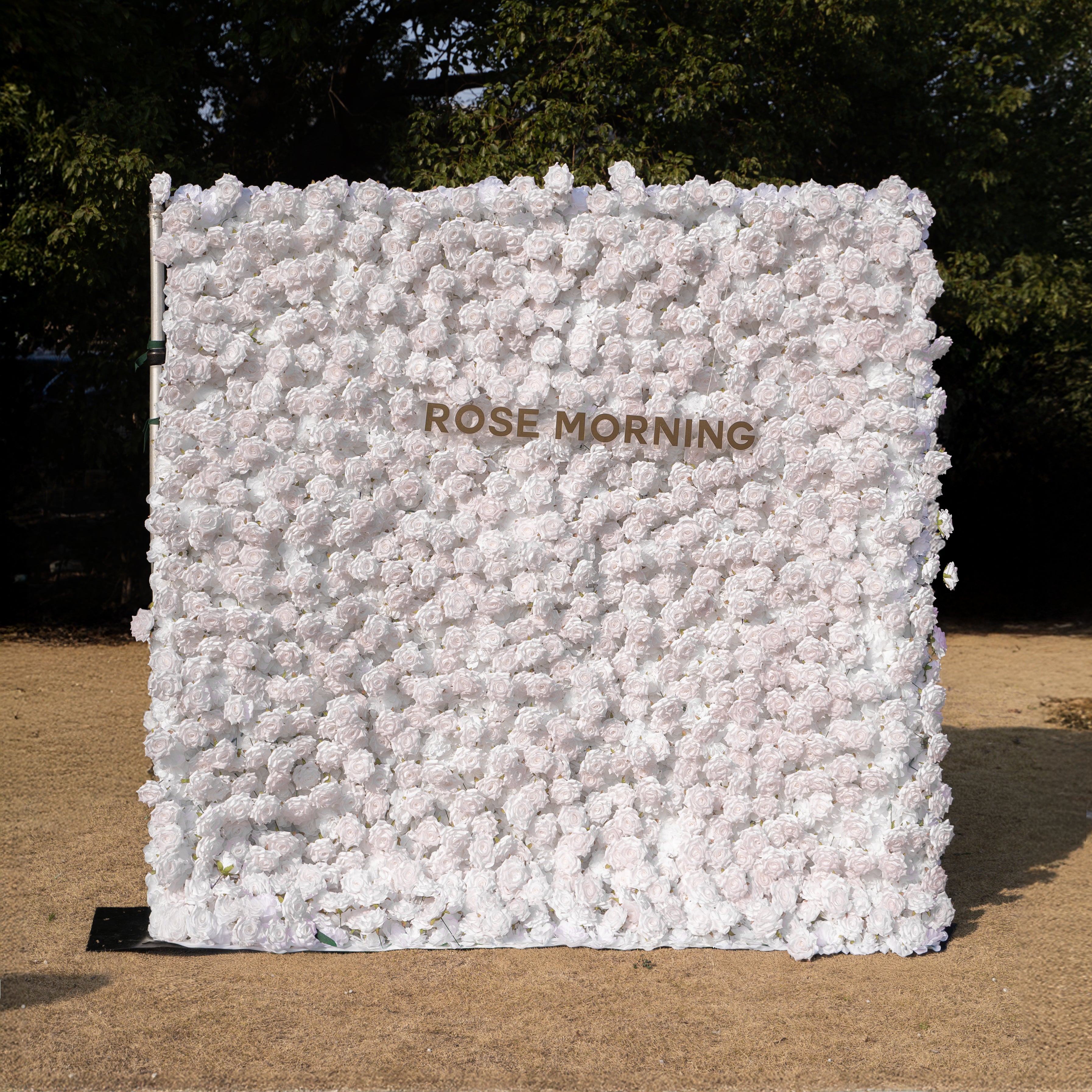 Hadas：2026 New Launch Sun-Activated Color-Changing Rose Flower Wall Backdrop (8×8) — One Wall, Two Looks: White Indoors → Blush Pink in Sunlight