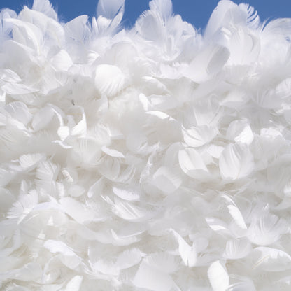 Hilton：5D Fabric Artificial rolling up curtain flower wall