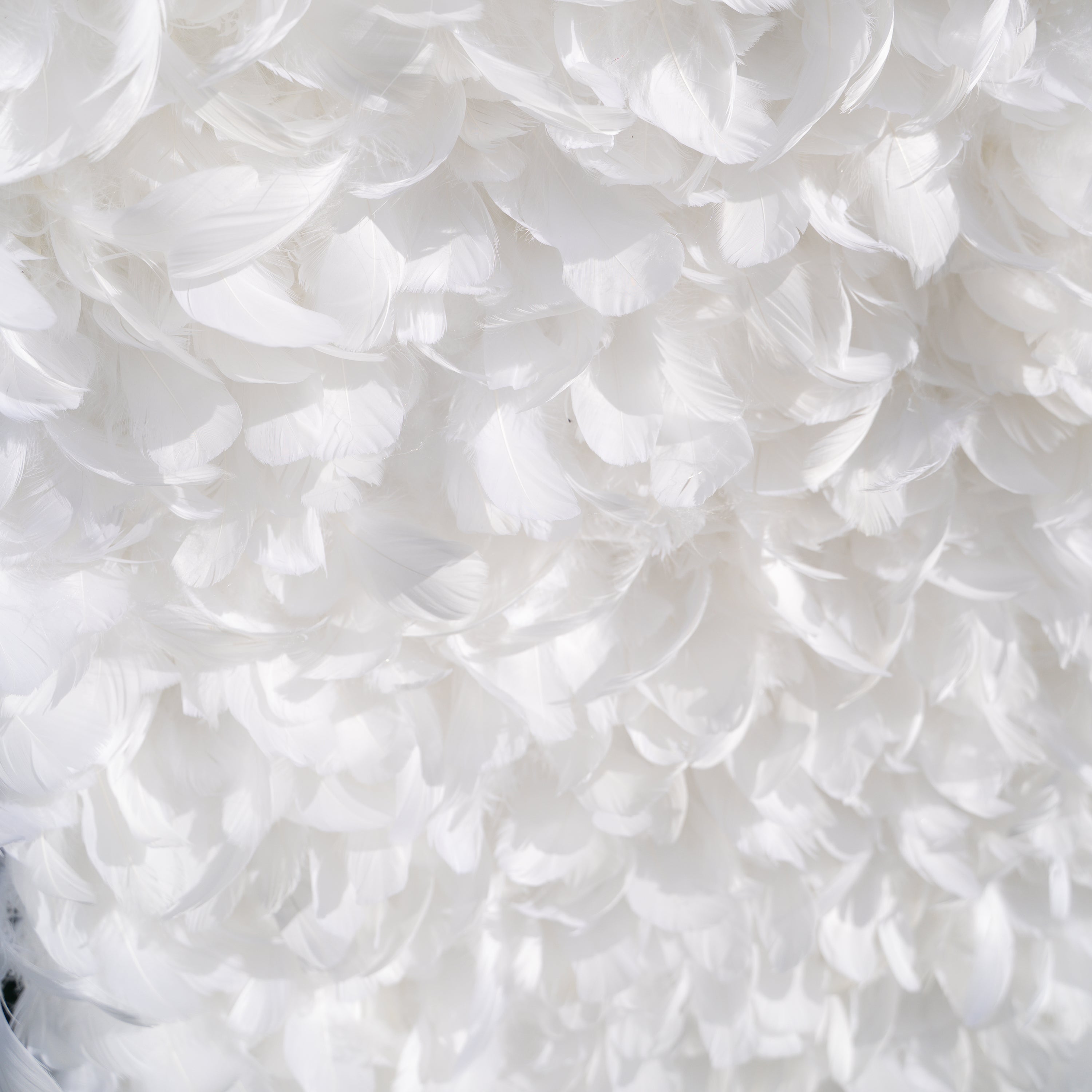 Hilton： Pure White Feather Flower Wall - 5D Fabric Backdrop for Wedding Birthday Party Event Decoration