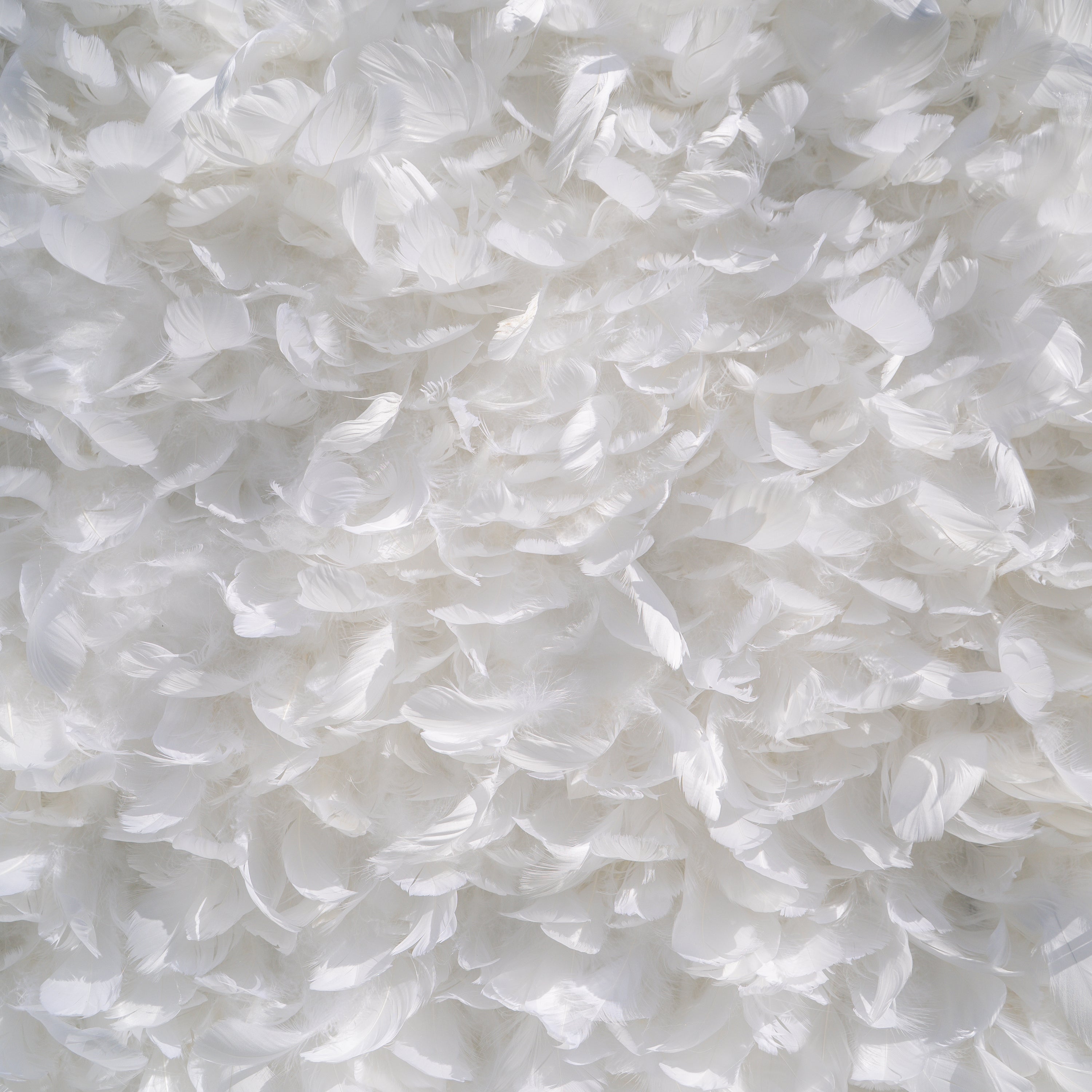 Hilton： Pure White Feather Flower Wall - 5D Fabric Backdrop for Wedding Birthday Party Event Decoration