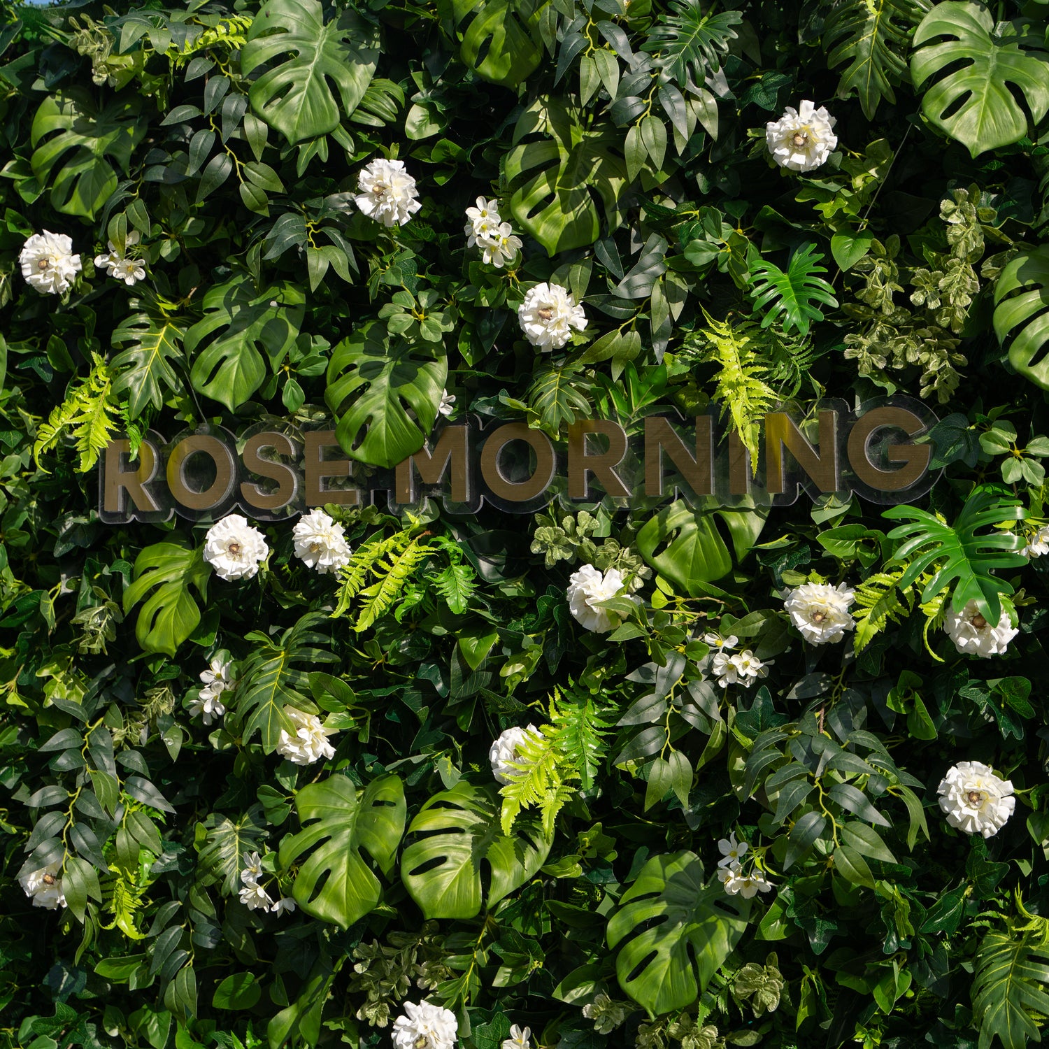 Hristina：5D Fabric Artificial rolling up curtain flower wall