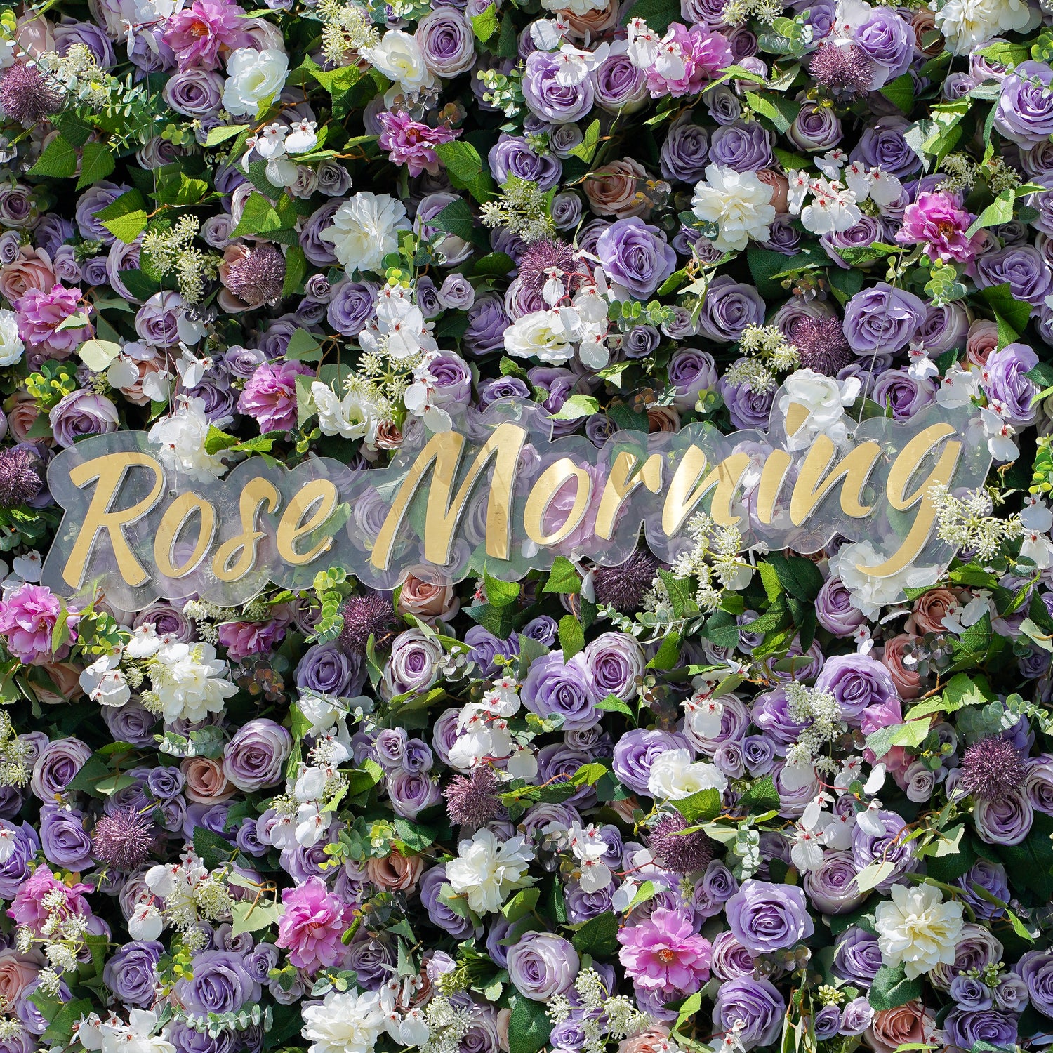 Isabella:5D 2023 New Fabric Artificial Flower Wall Rolling Up Curtain Flower Wall-R137 Rose Morning