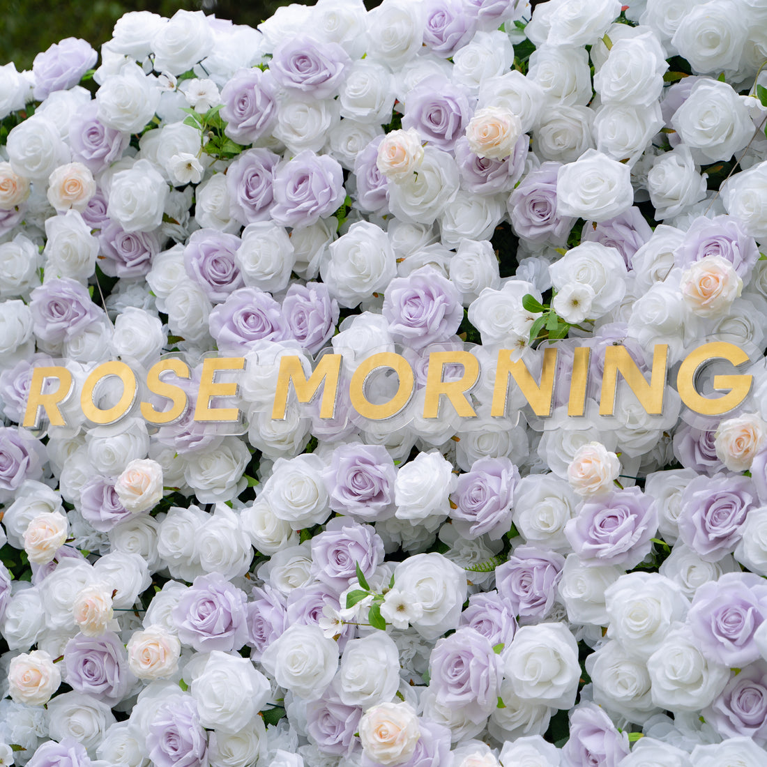 Jazlynn:5D Fabric Artificial rolling up curtain flower wall (Ready to ship) Rose Morning