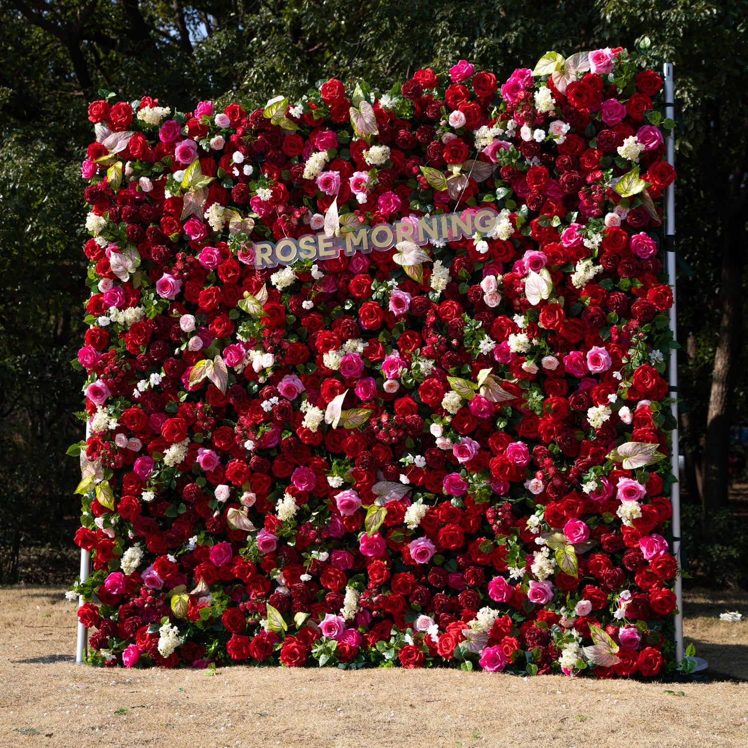 Jody ：5D Fabric Artificial rolling up curtain flower wall