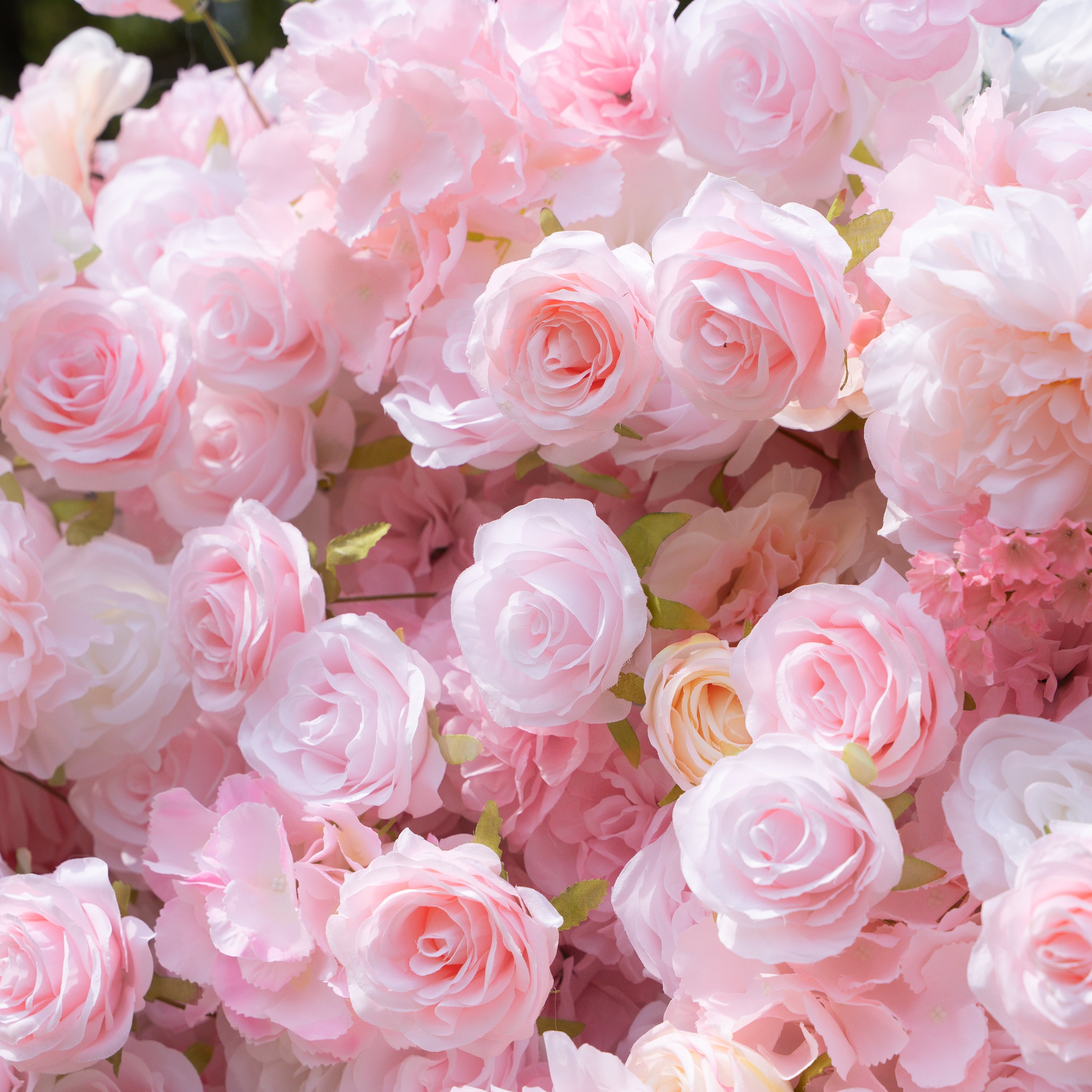 Kissing：5D Elegant Pink and White 5D Fabric Artificial Flower Rolling Curtain Perfect for Wedding &amp; Event (Ready to Ship))