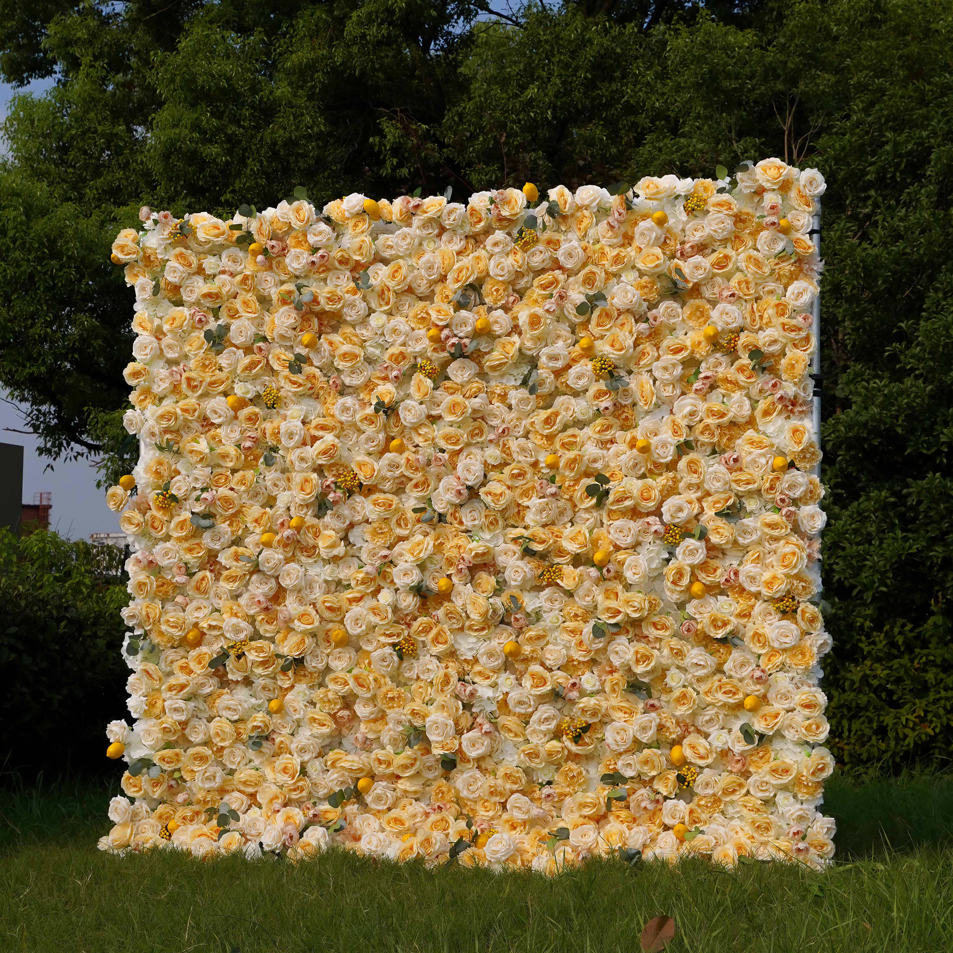 Lemon:  5D Fabric Artificial Flower Wall Rolling Up Curtain Flower Wall R717 - 8ft*8ft Rose Morning