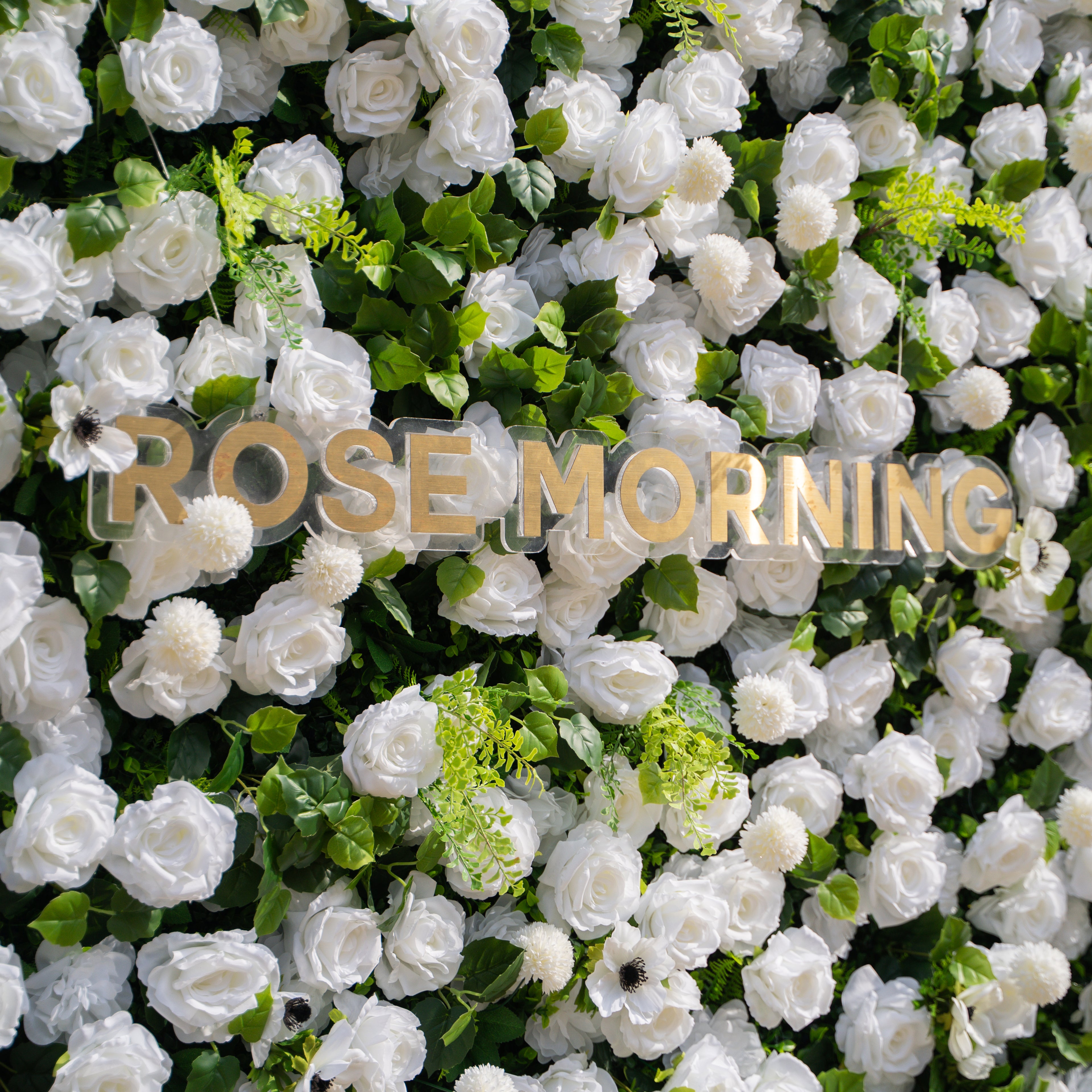 Liora: 3D White Rose &amp; Greenery Roll-Up Curtain Artificial Floral Wall for Garden Wedding &amp; Party Decor