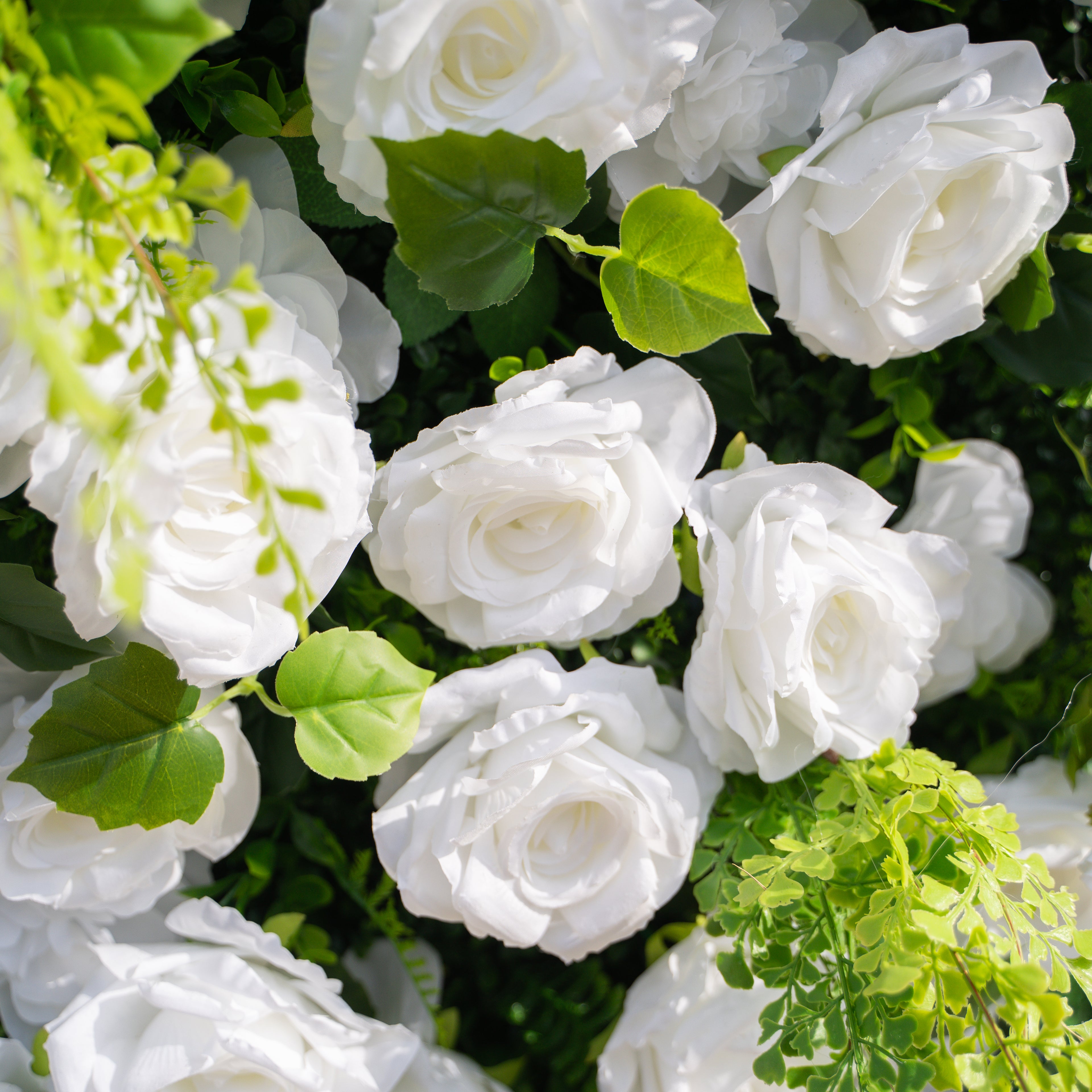 Liora: 3D White Rose &amp; Greenery Roll-Up Curtain Artificial Floral Wall for Garden Wedding &amp; Party Decor