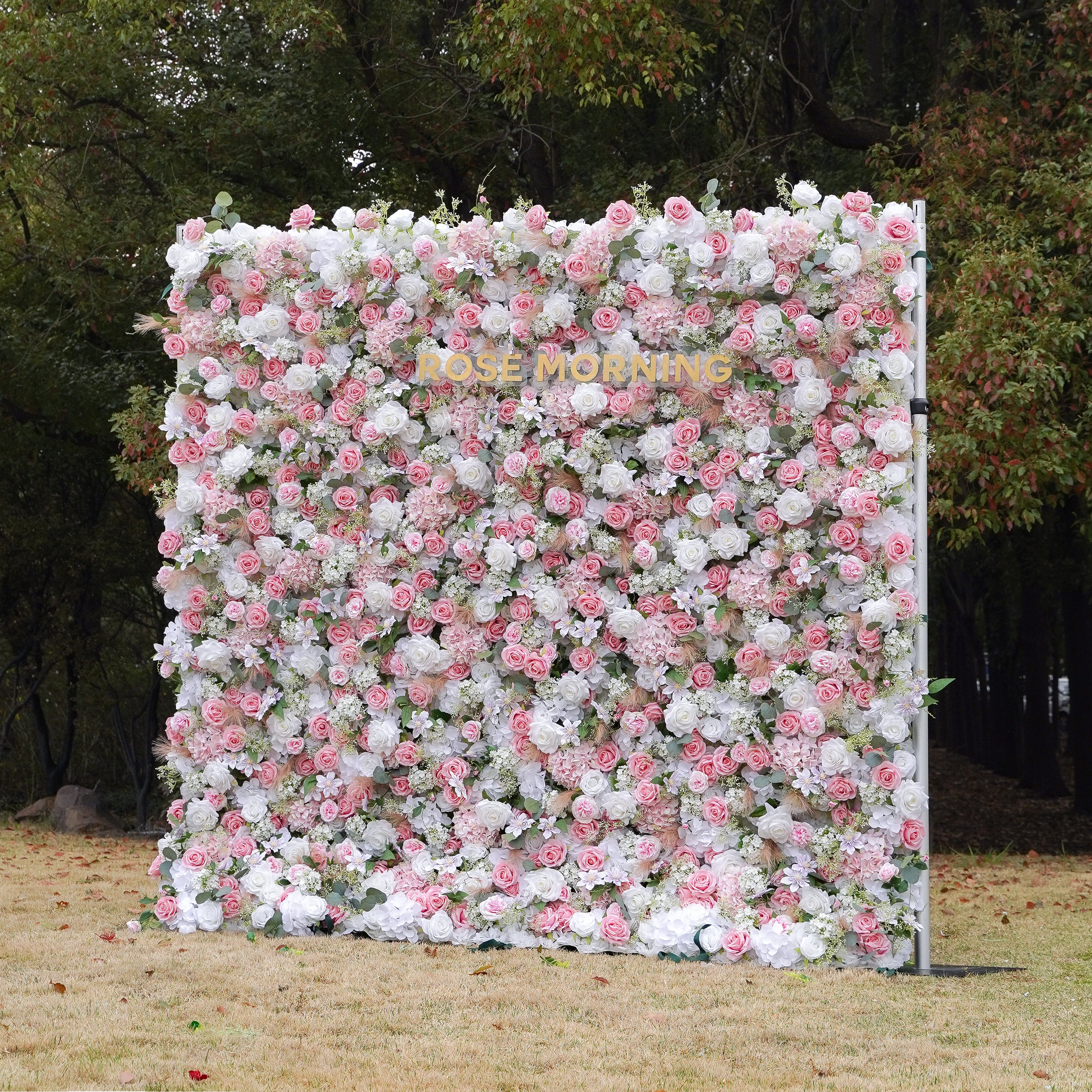 Lorraine：5D Fabric Artificial rolling up curtain flower wall Rose Morning