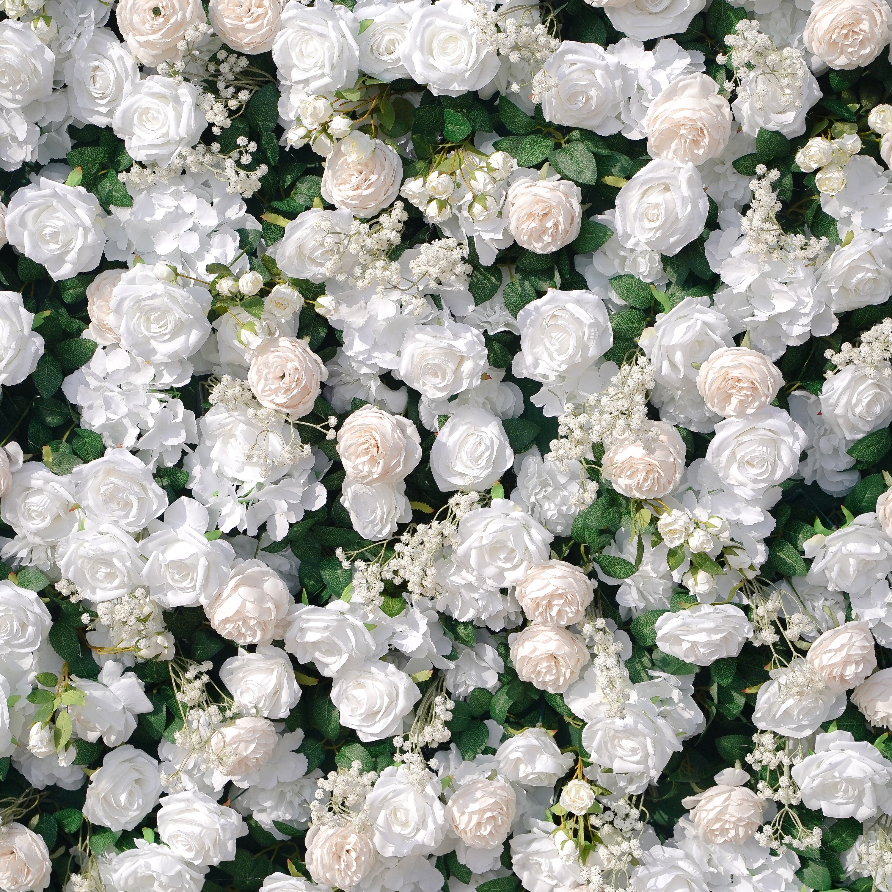 Love： Fabric Artificial zip up curtain flower wall 8ft*8ft Rose Morning