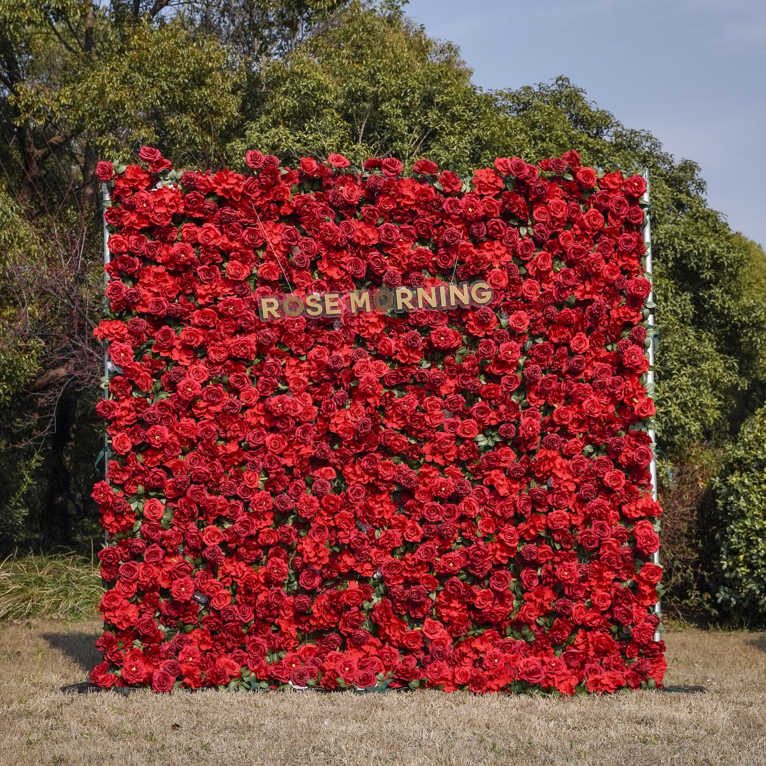 CP Luna02: One Fabric Backdrop Artificial rolling up flower wall+100 Loose Flowers (Champagne) Rose Morning