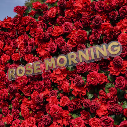 CP Luna02: One Fabric Backdrop Artificial rolling up flower wall+100 Loose Flowers (Champagne) Rose Morning