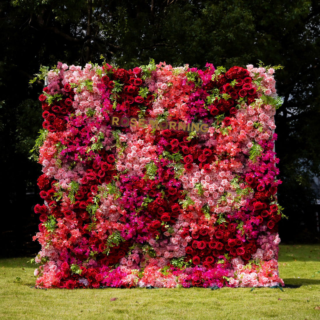 Lynda 5D Fabric Artificial rolling up curtain flower wall Rose Morning