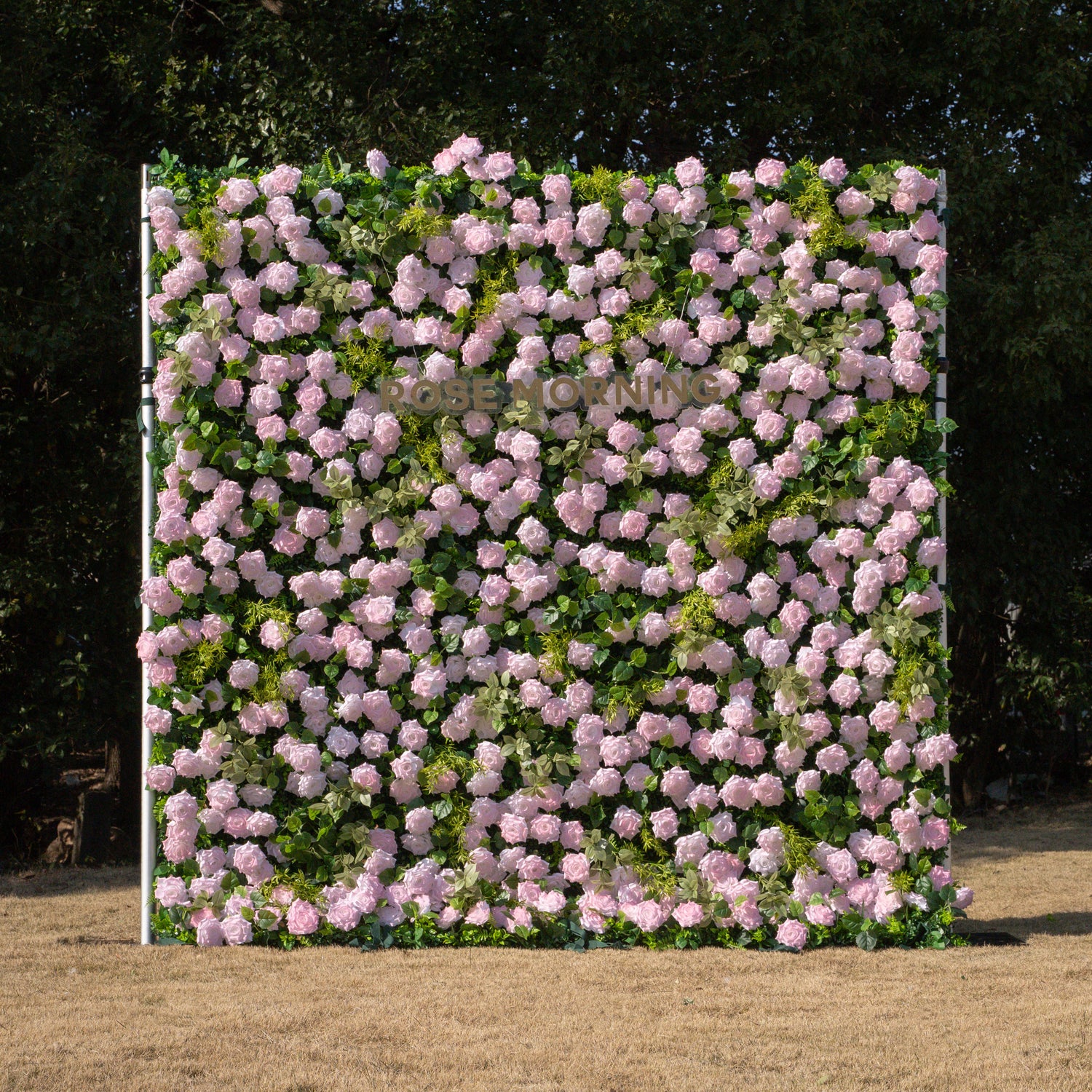 Magica：Sun-Activated Color-Changing Rose Flower Wall Backdrop (8×8) — One Wall, Two Looks: White Indoors → Blush Pink in Sunlight