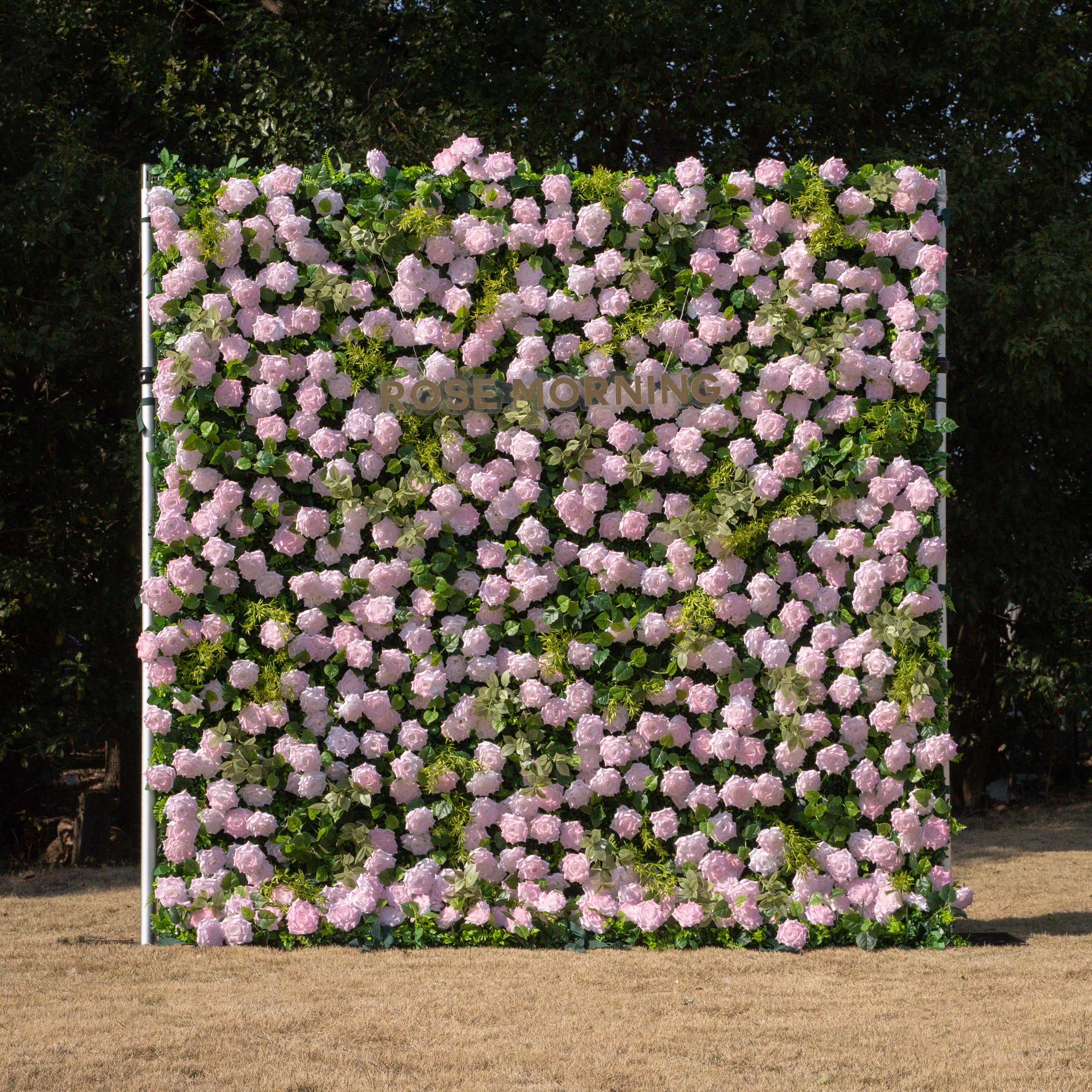 Magica：2026 New Launch-Sun-Activated Color-Changing Rose Flower Wall Backdrop (8×8) — One Wall, Two Looks: White Indoors → Blush Pink in Sunlight