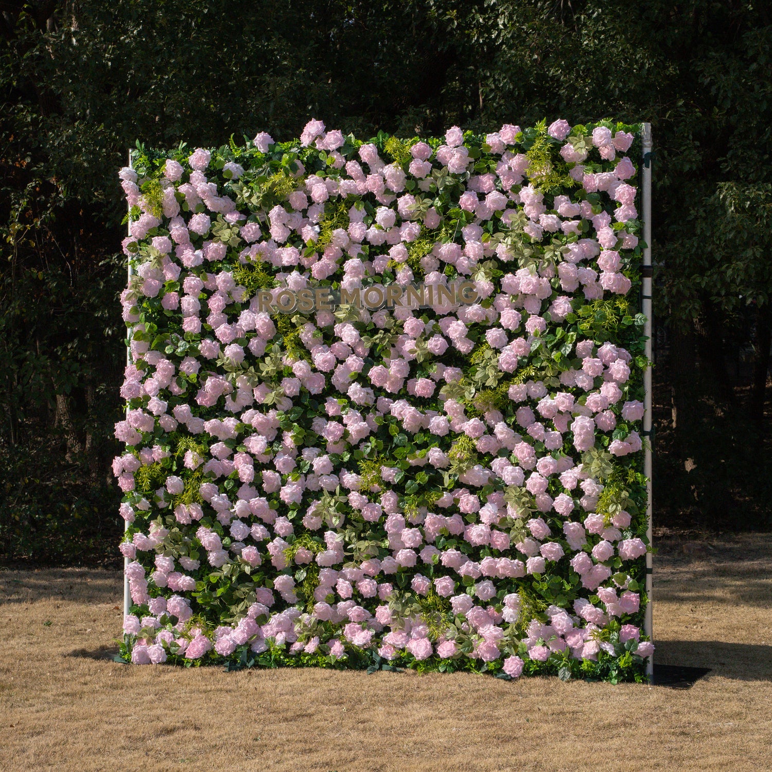 Magica：Sun-Activated Color-Changing Rose Flower Wall Backdrop (8×8) — One Wall, Two Looks: White Indoors → Blush Pink in Sunlight