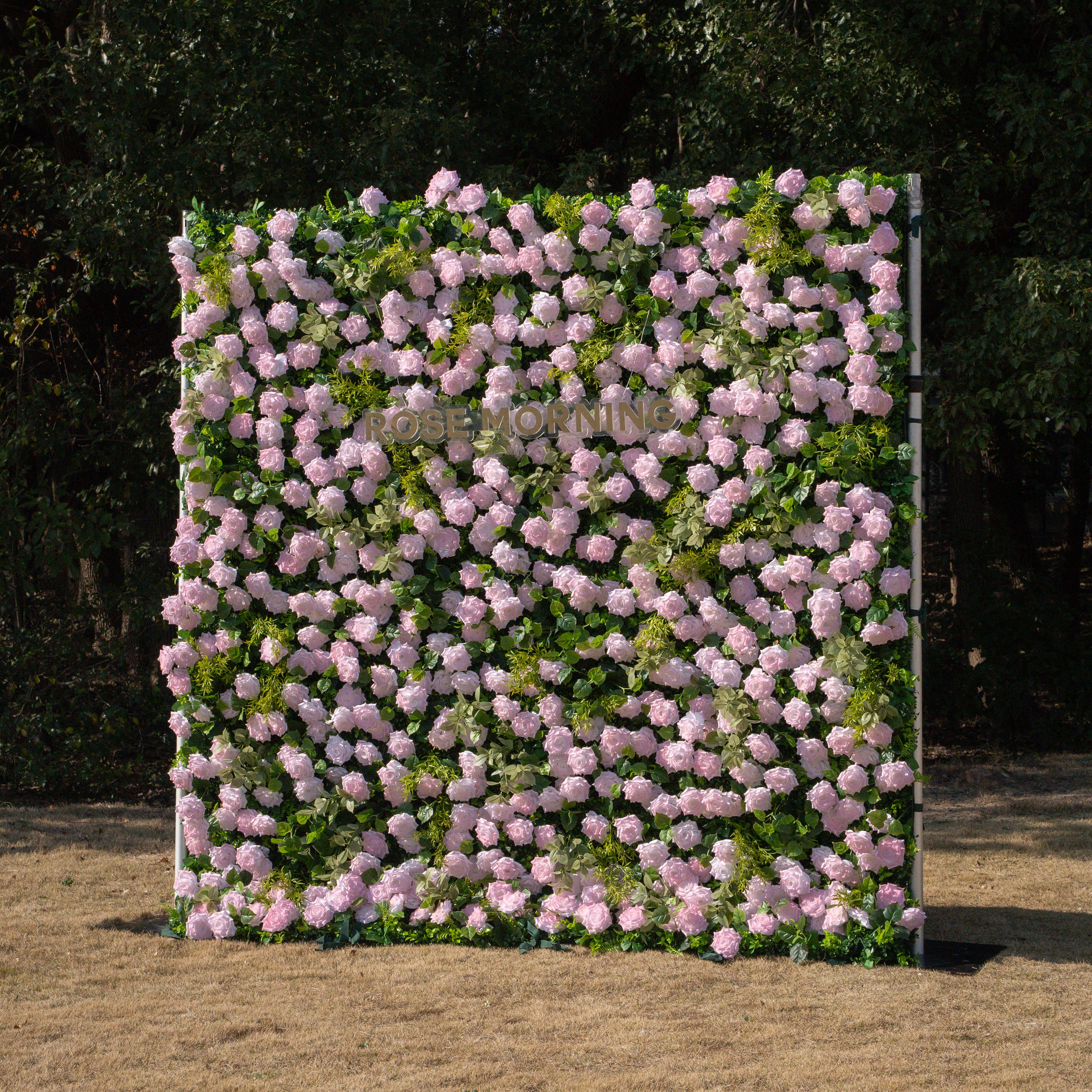 Magica：Sun-Activated Color-Changing Rose Flower Wall Backdrop (8×8) — One Wall, Two Looks: White Indoors → Blush Pink in Sunlight